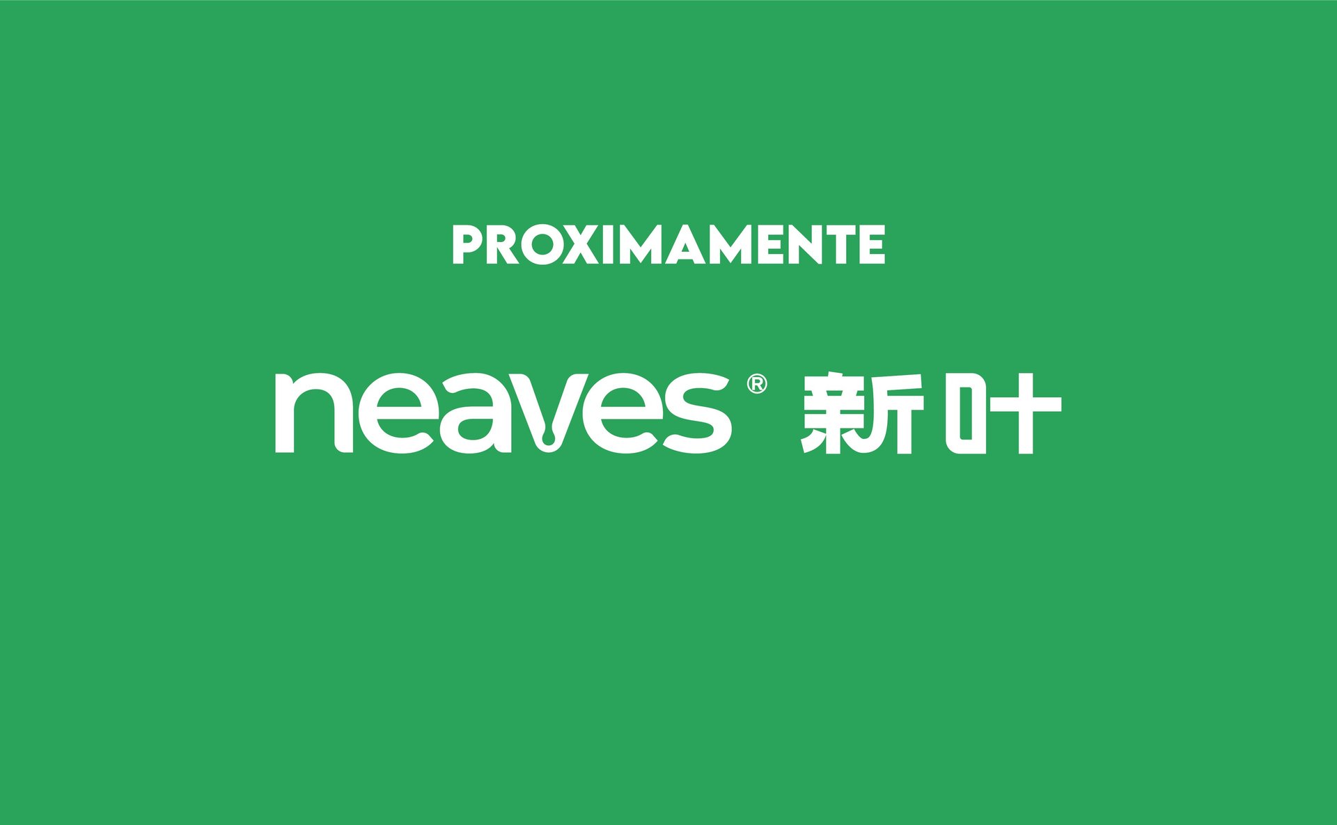 mountain range under blue sky