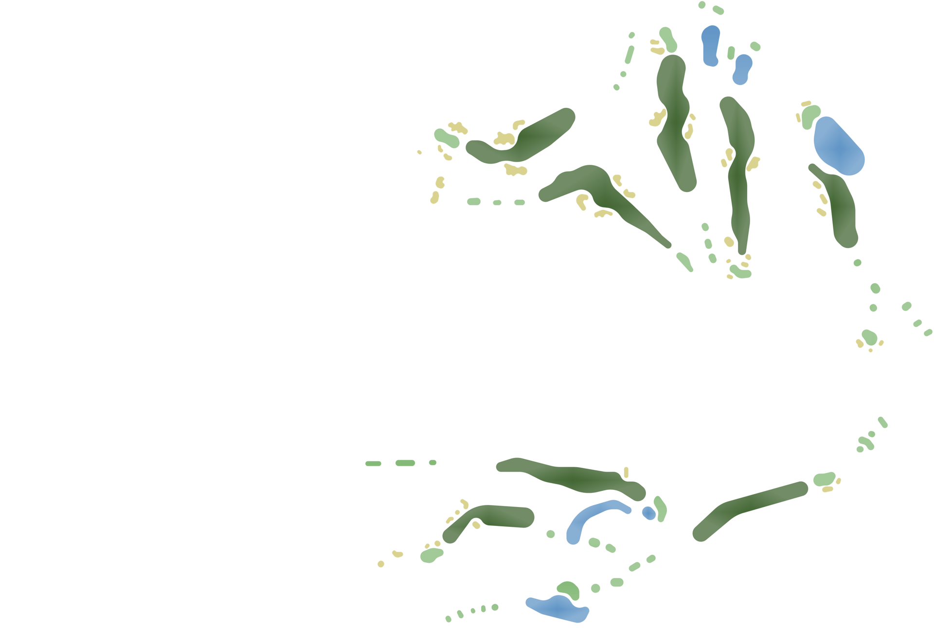 bird's eye photo of grass field