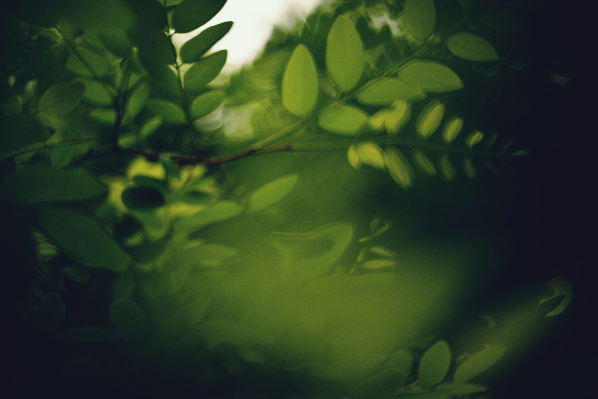 a close up of a black and brown abstract painting
