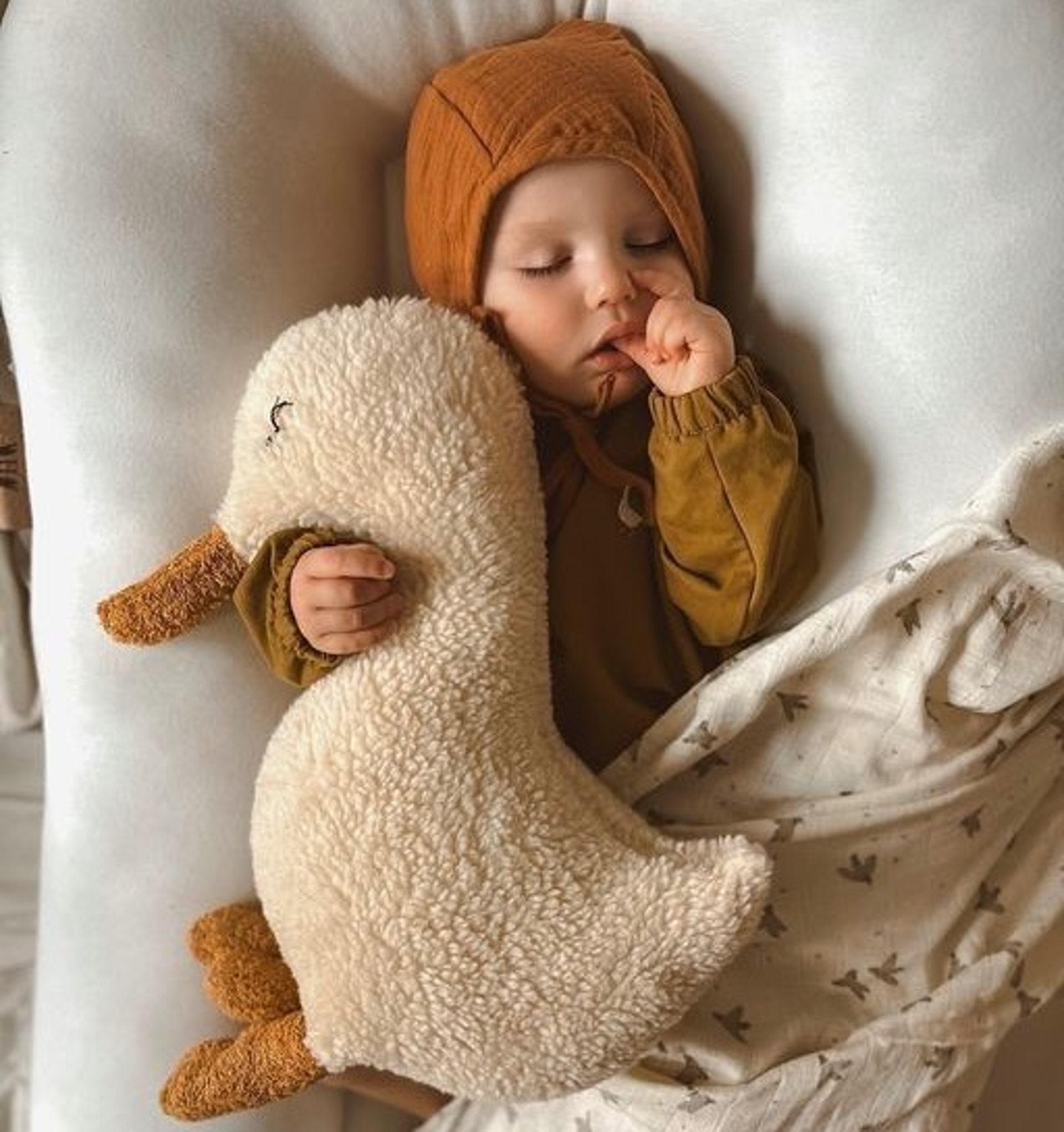 woman holding dried flower