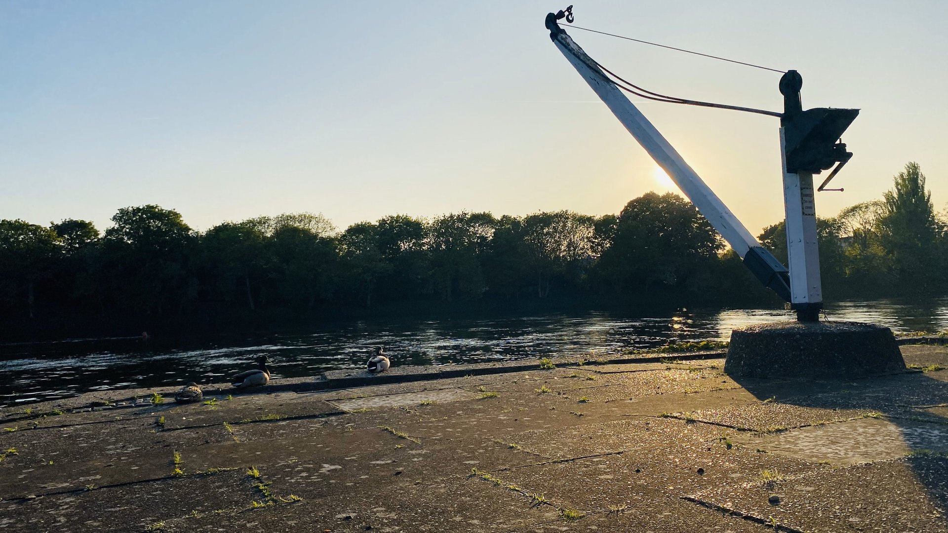 gray computer monitor