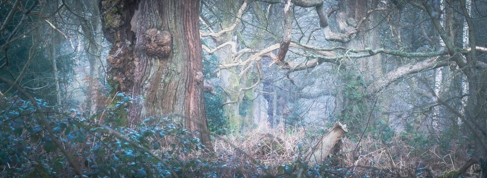 an abstract photo of a curved building with a blue sky in the background