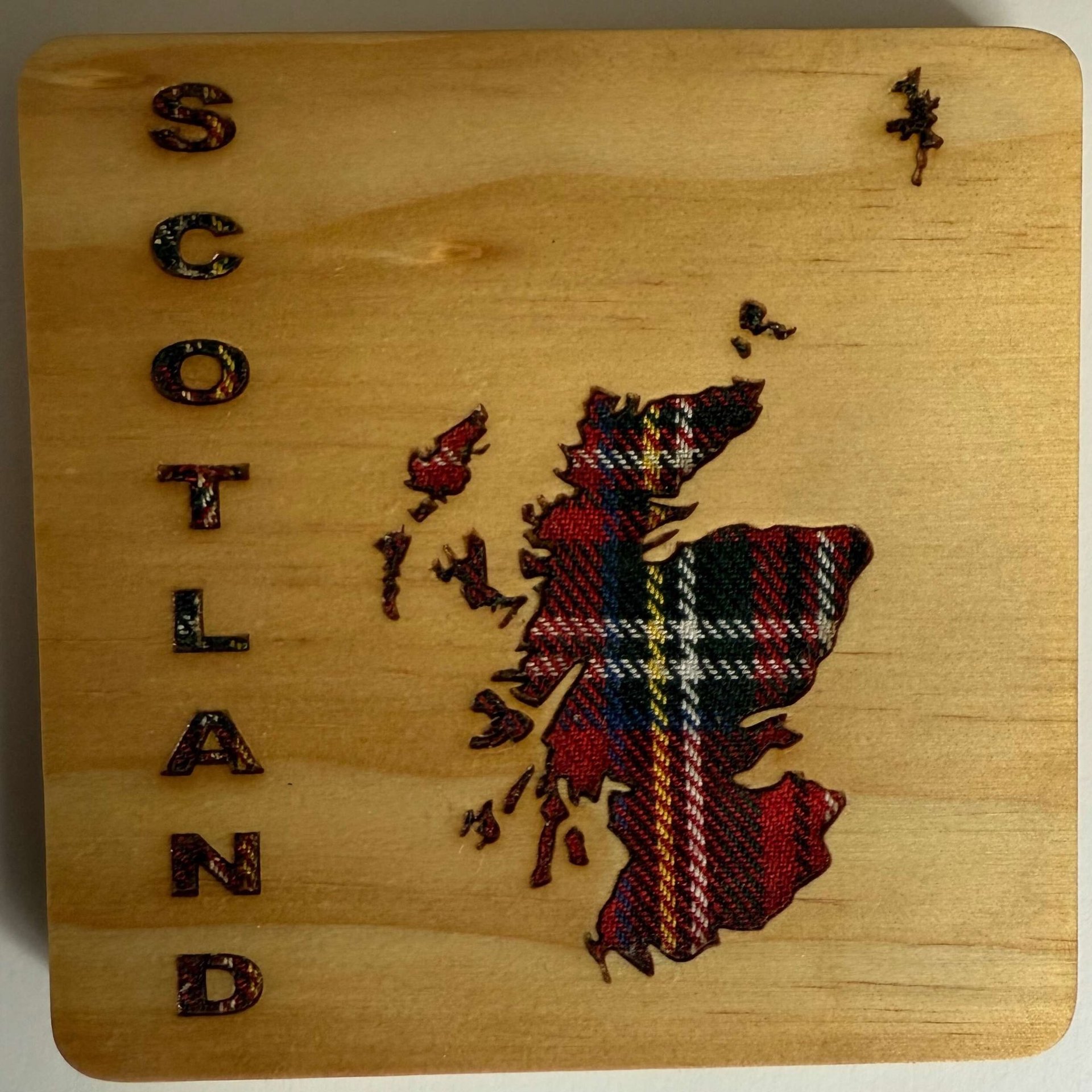 person holding white pink and green floral textile