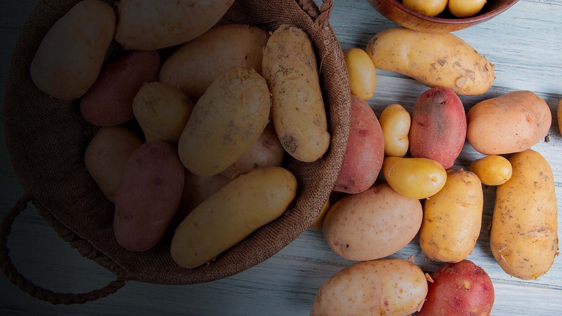 an abstract photo of a curved building with a blue sky in the background