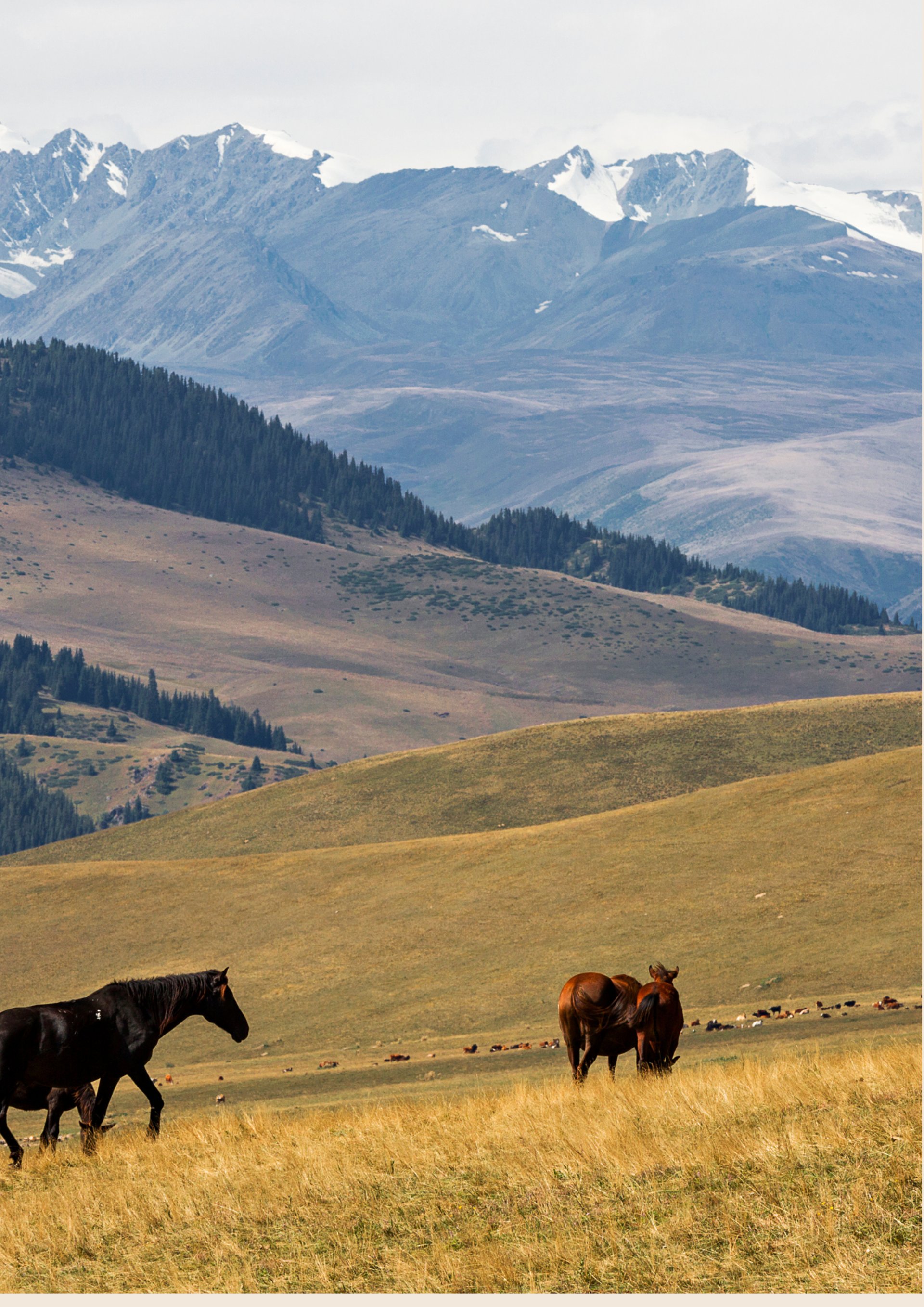 an abstract photo of a curved building with a blue sky in the background