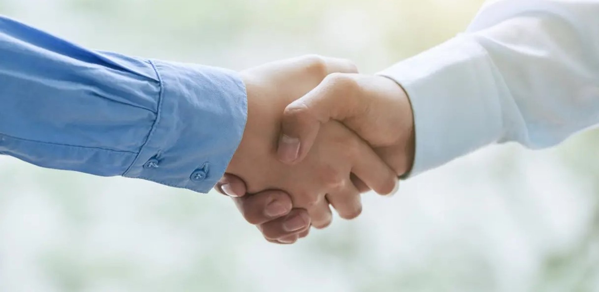 two people shaking hands