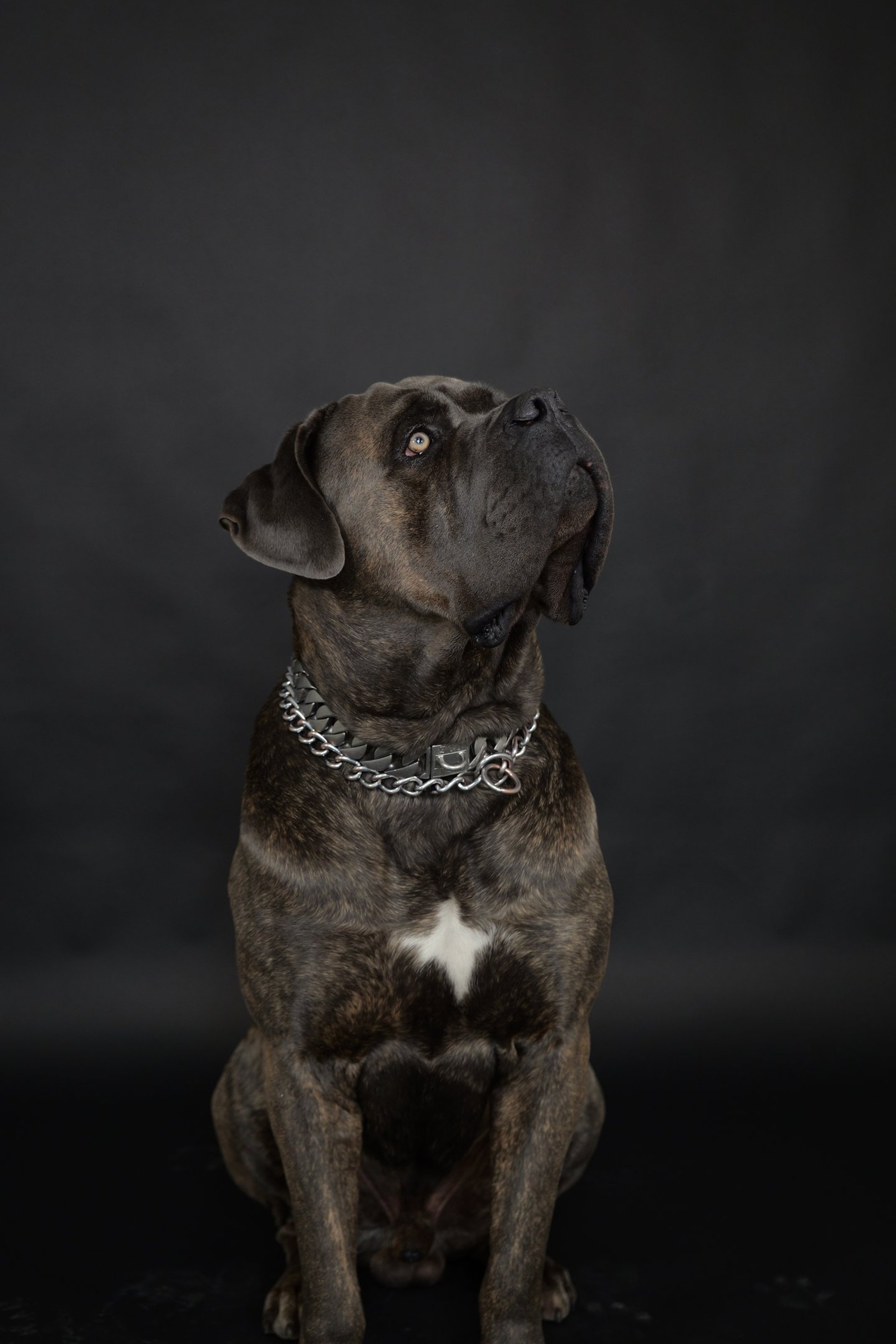 mountain range under blue sky