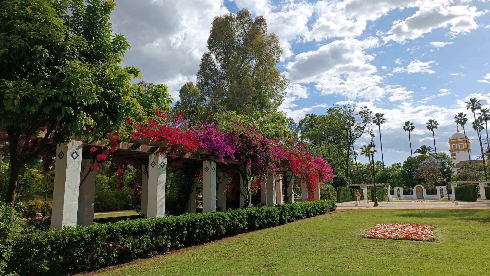 an abstract photo of a curved building with a blue sky in the background