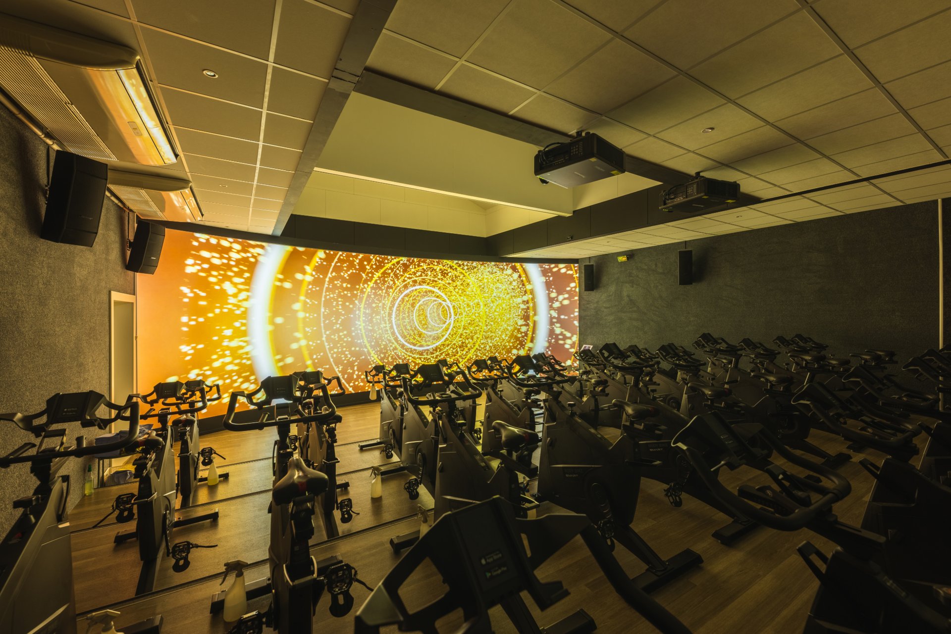 group of women exercise using dumbbells