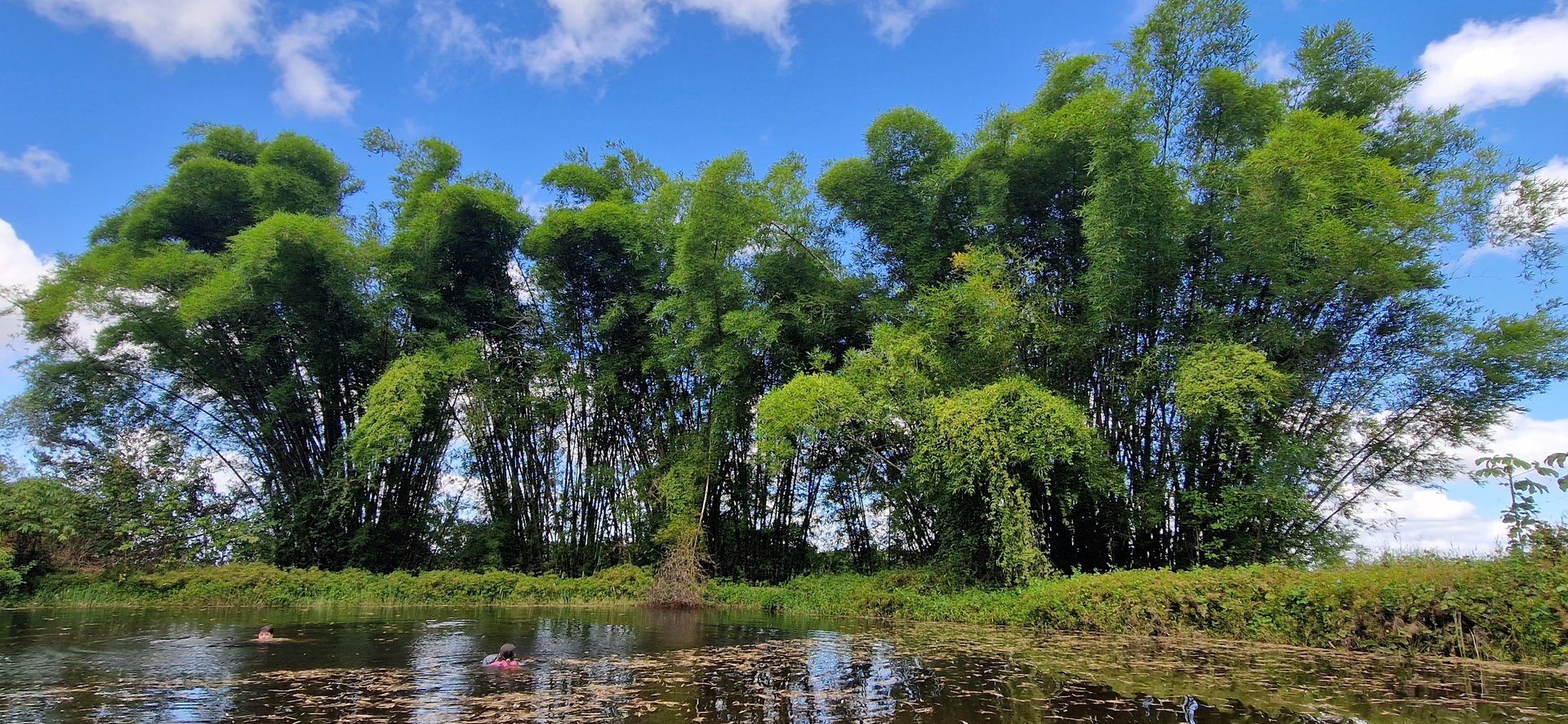 woman wearing yellow long-sleeved dress under white clouds and blue sky during daytime