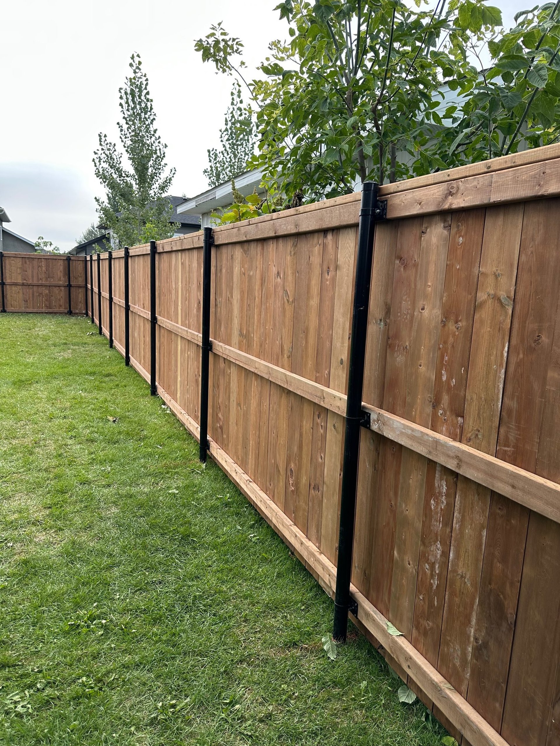 black blue and yellow textile