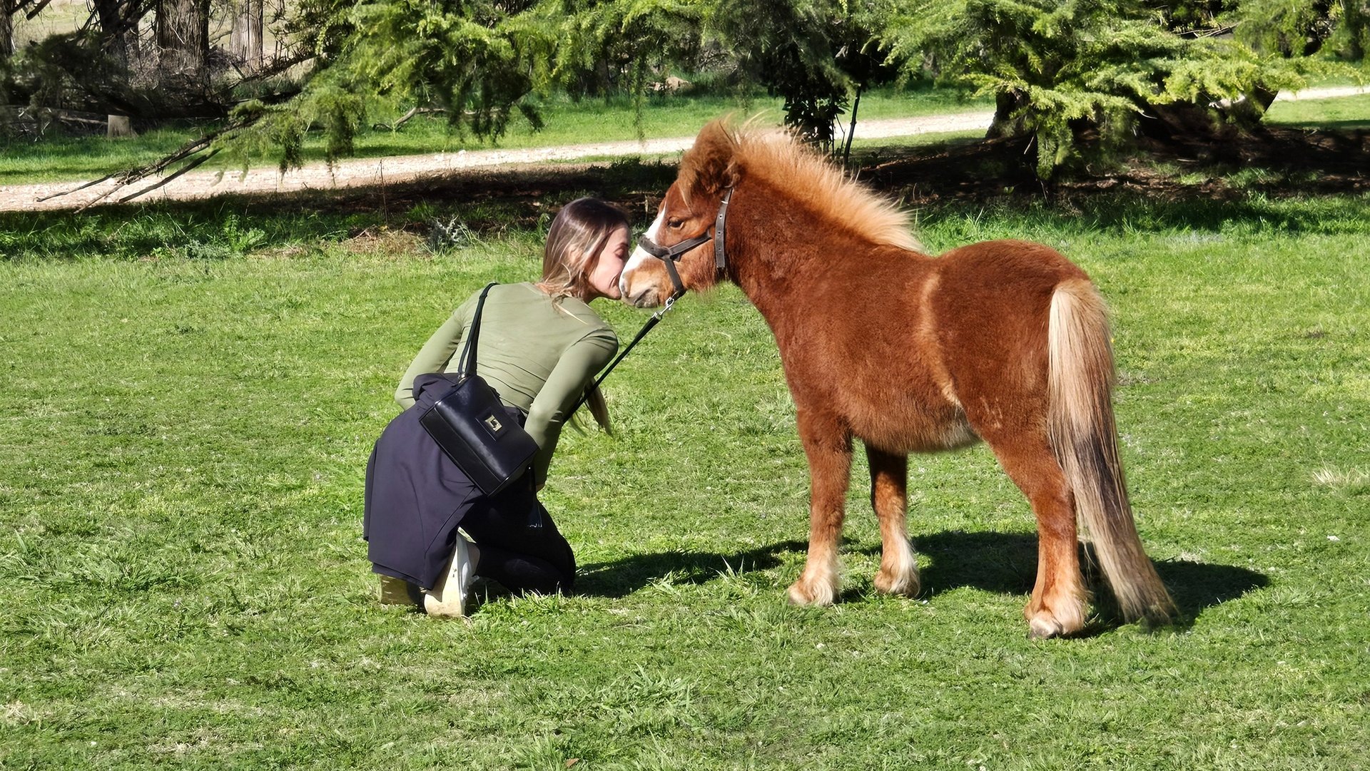 mountain range under blue sky