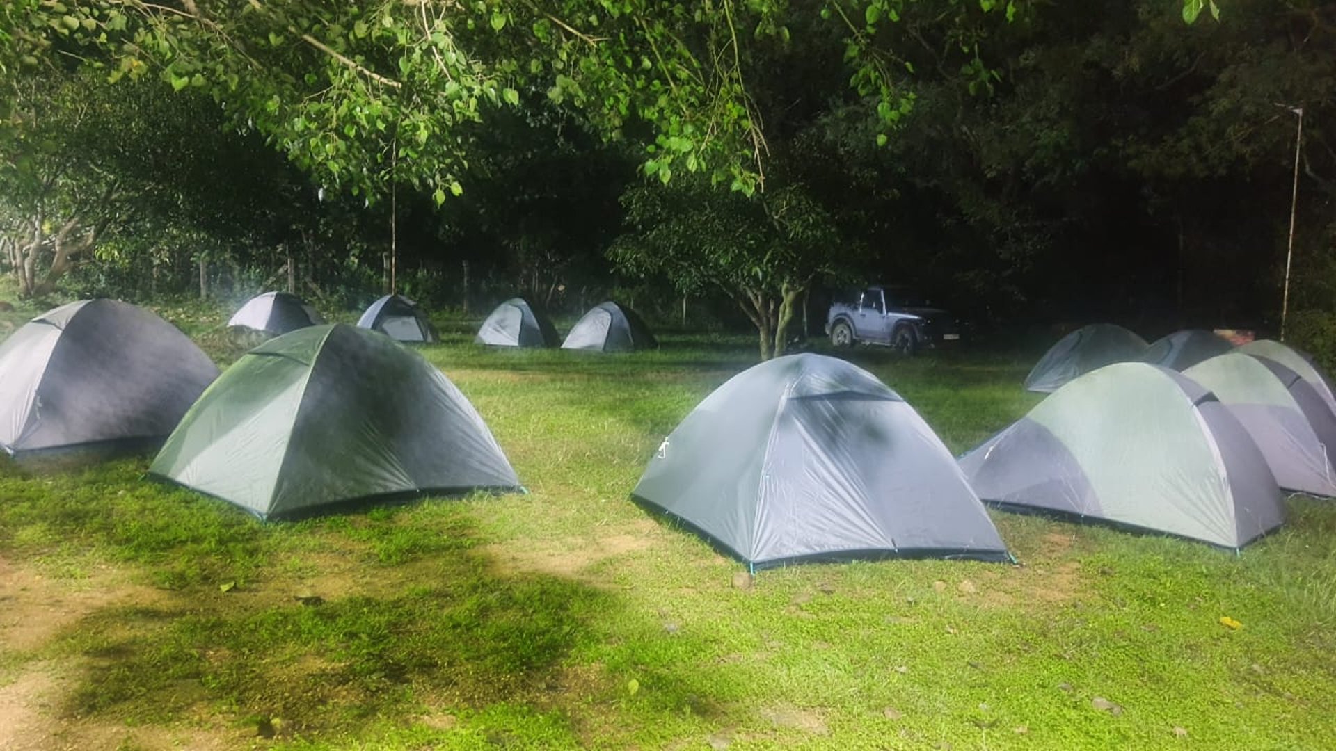 We like you too quotes on wall