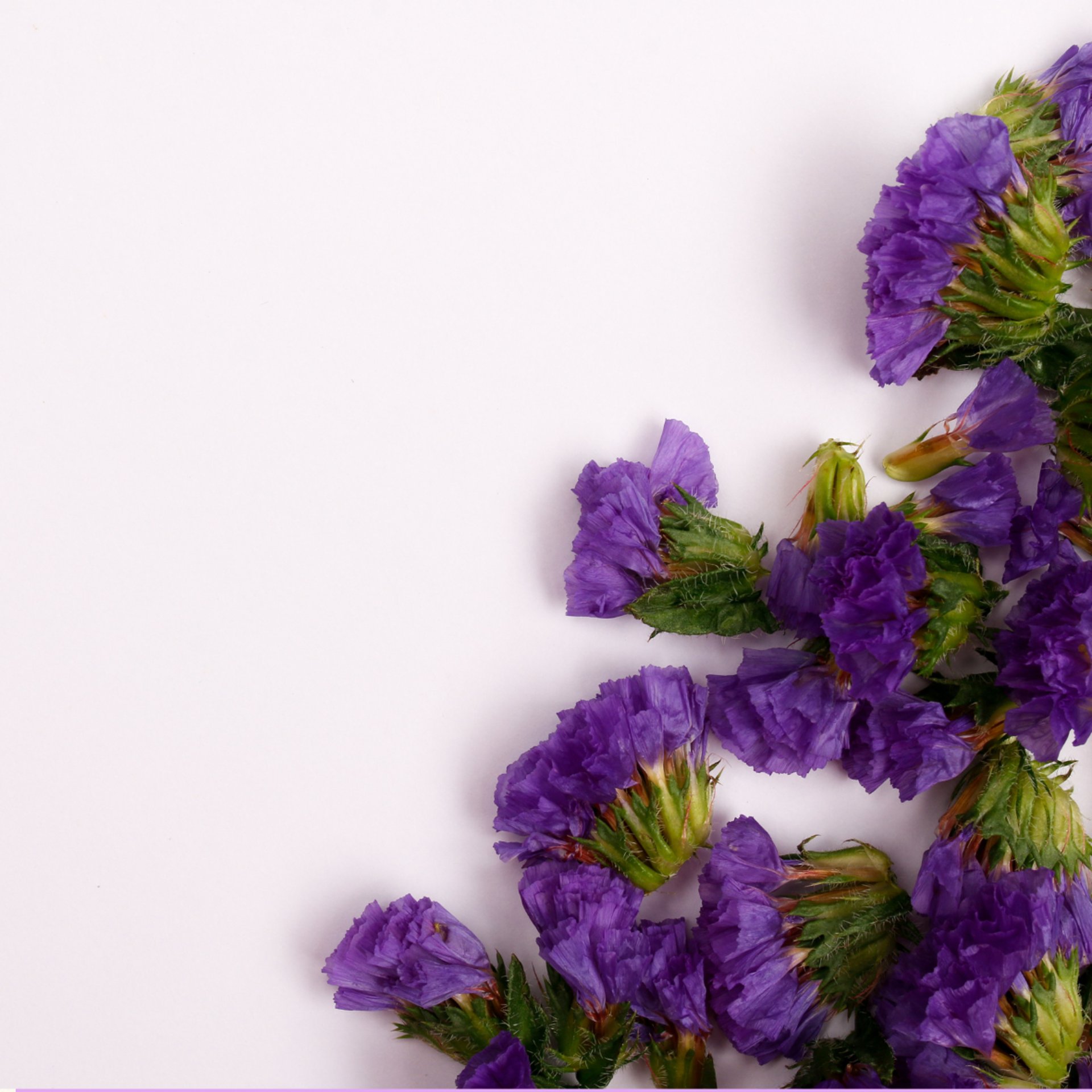 brown and green floral cardboard box