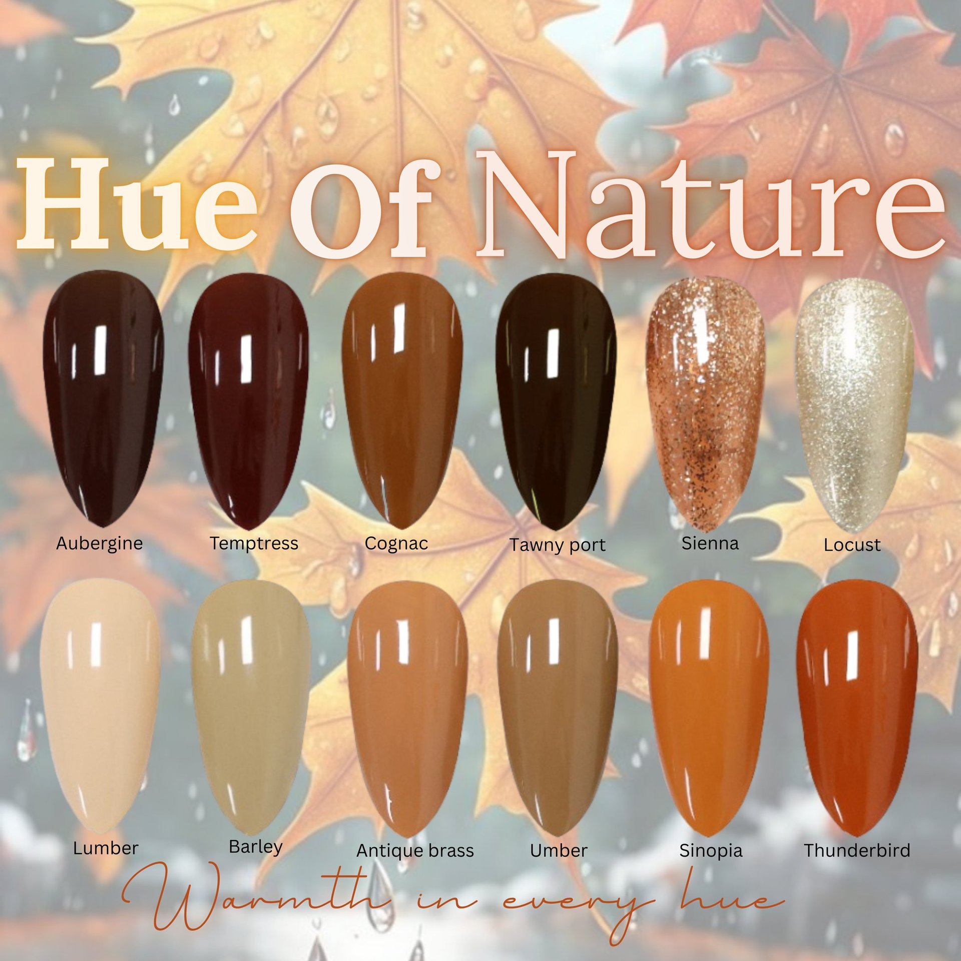 Brown winter series 2025-2026 catalea gel polish