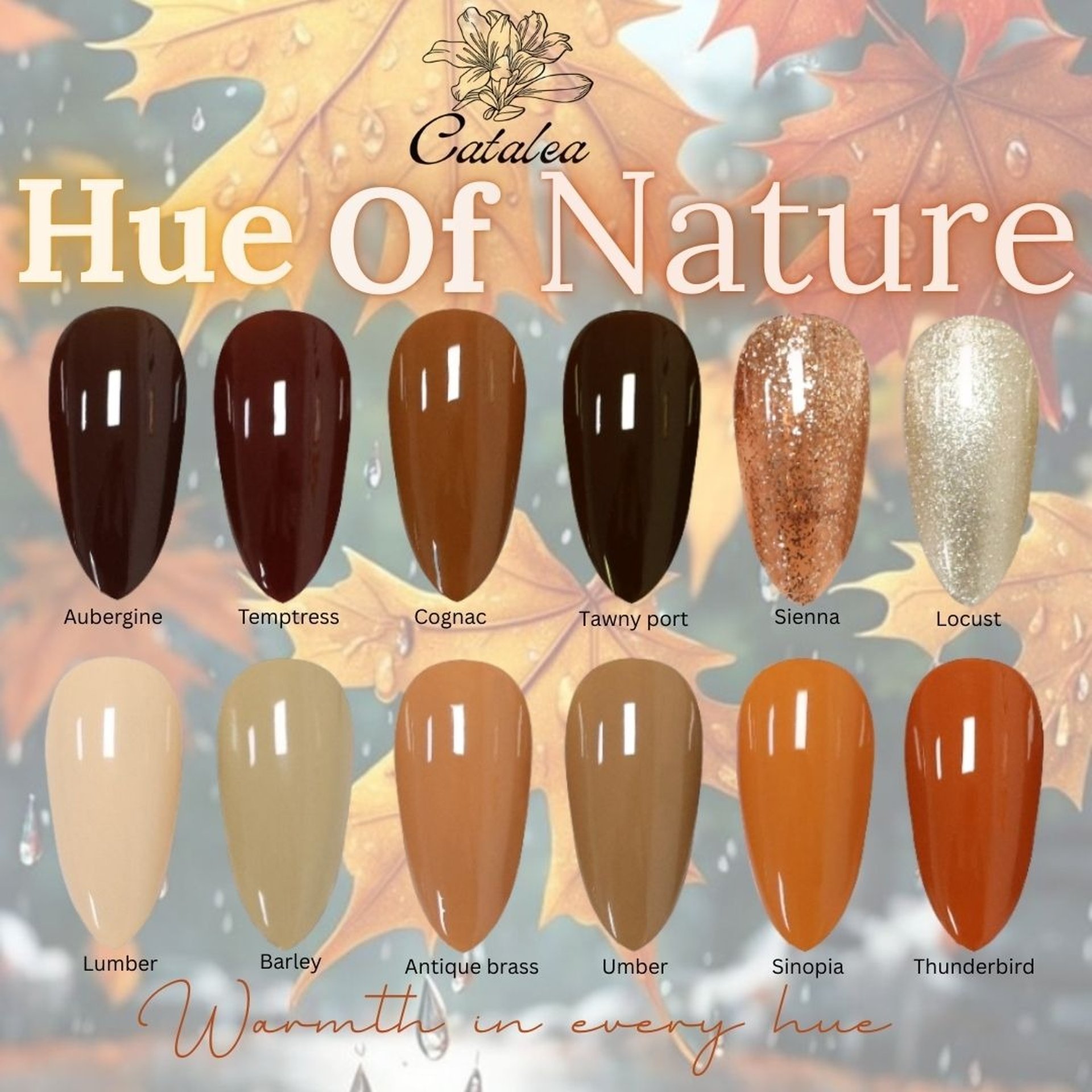 Catalea Gel Polish Hue of nature series Earthy brown Gel Polish color