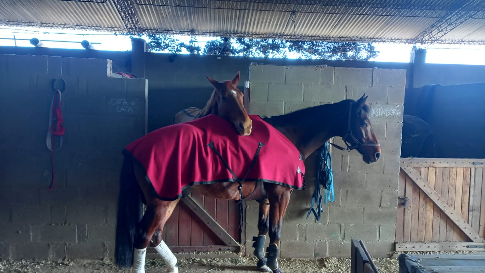 gray computer monitor