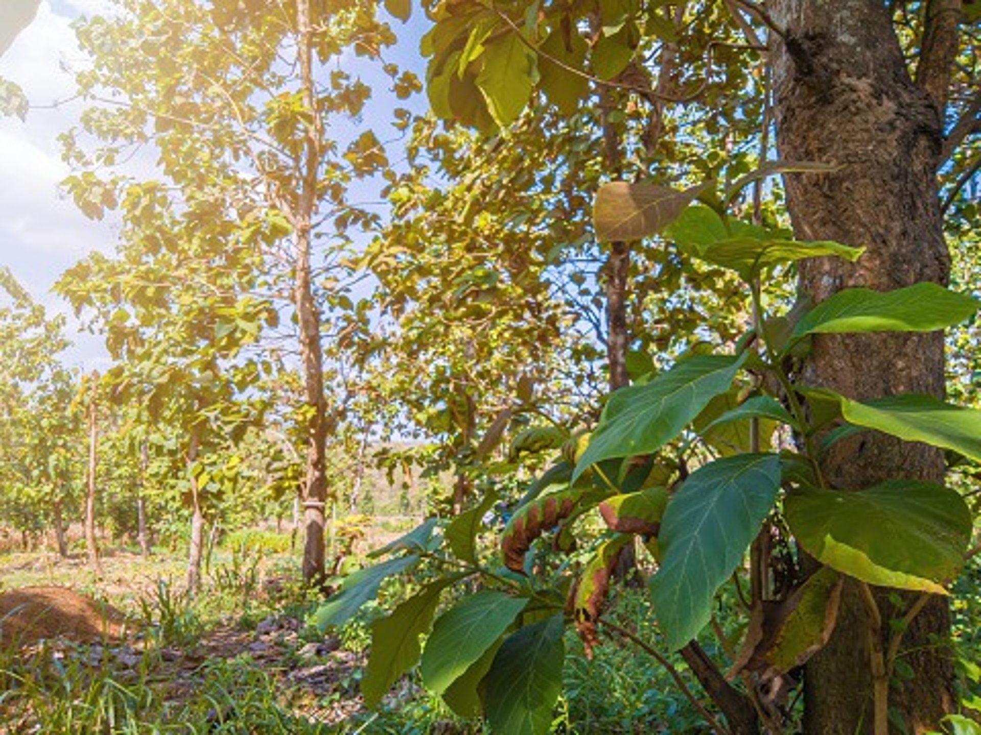 an abstract photo of a curved building with a blue sky in the background