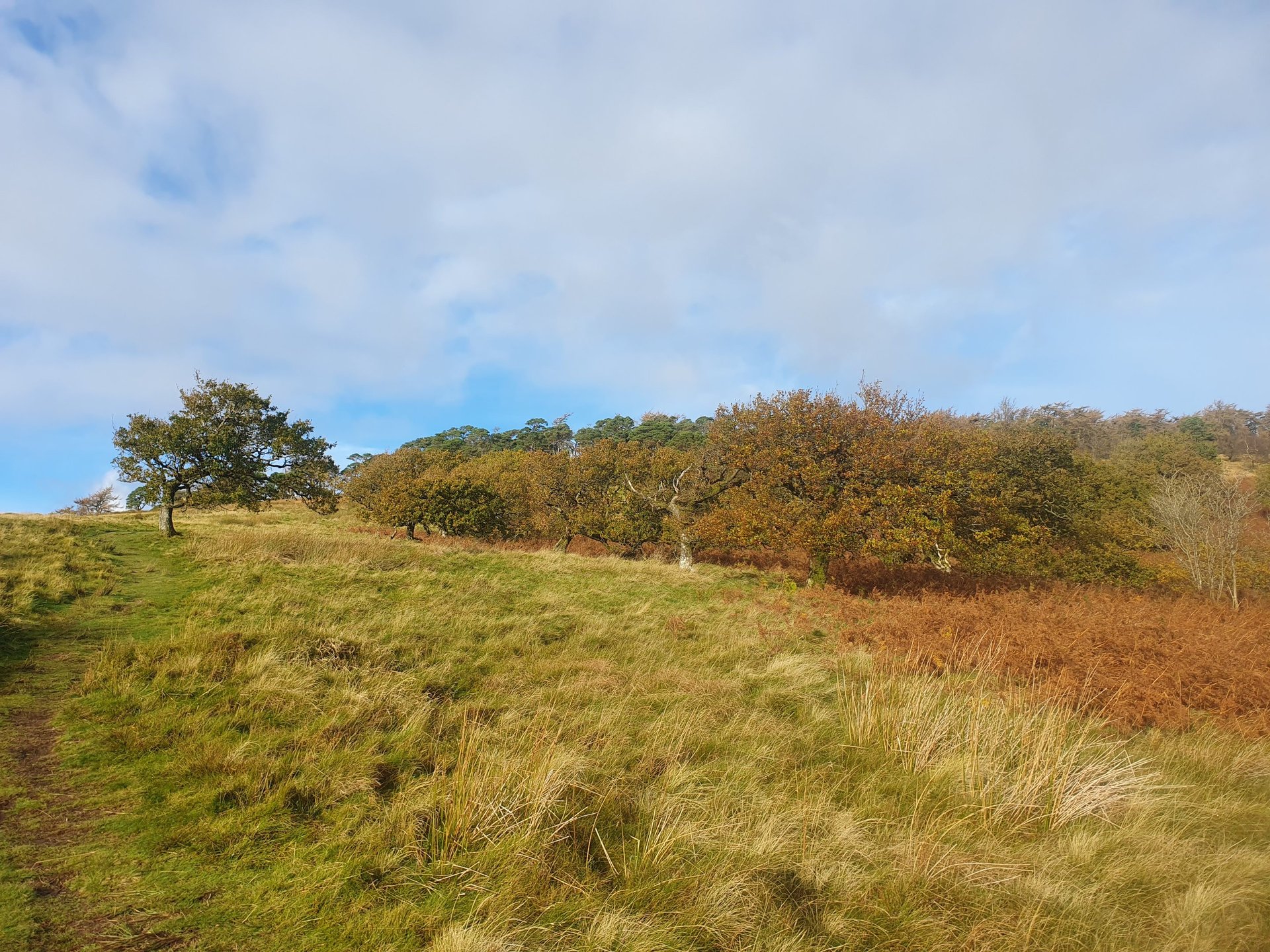 an abstract photo of a curved building with a blue sky in the background