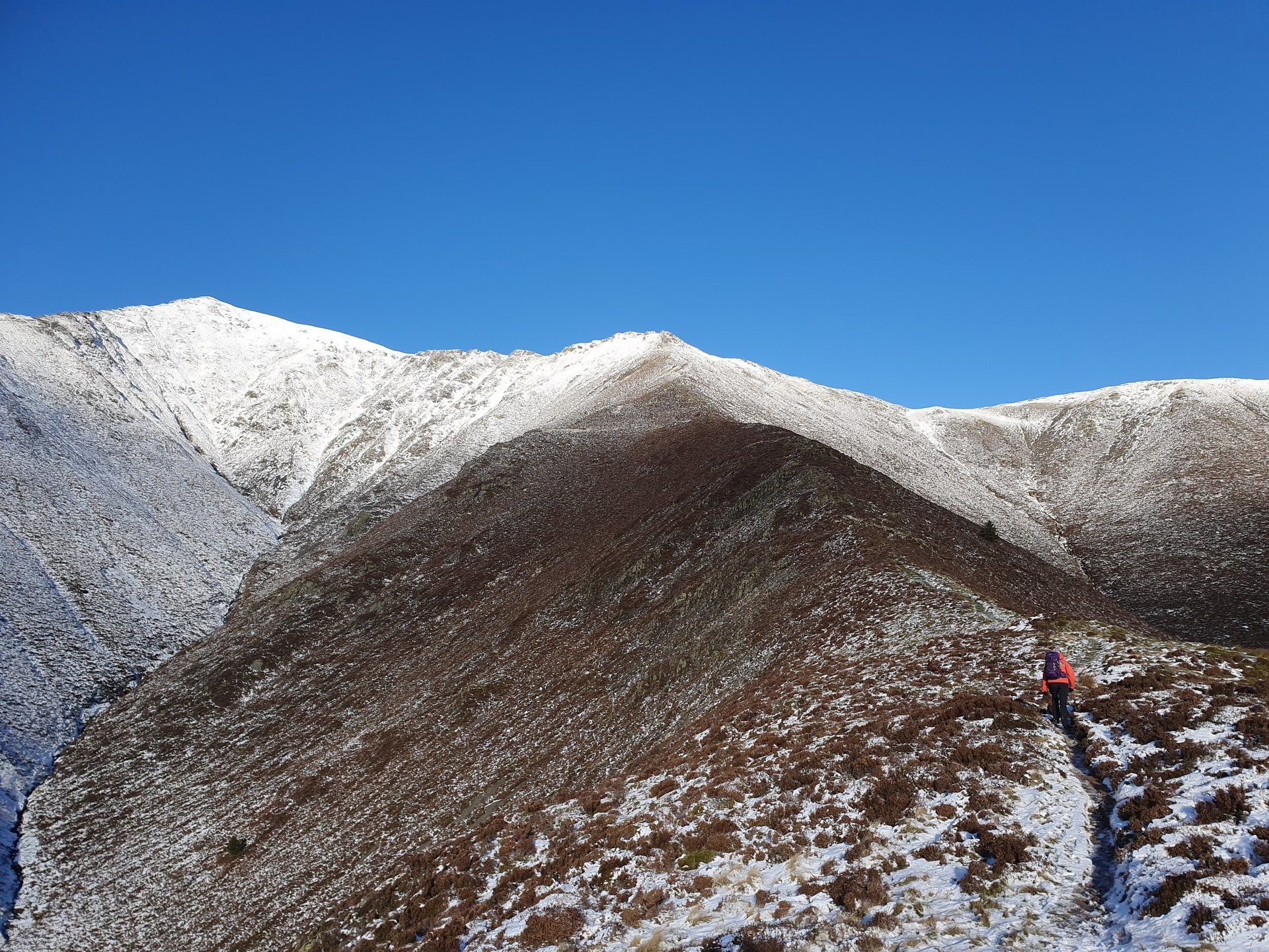 gray computer monitor