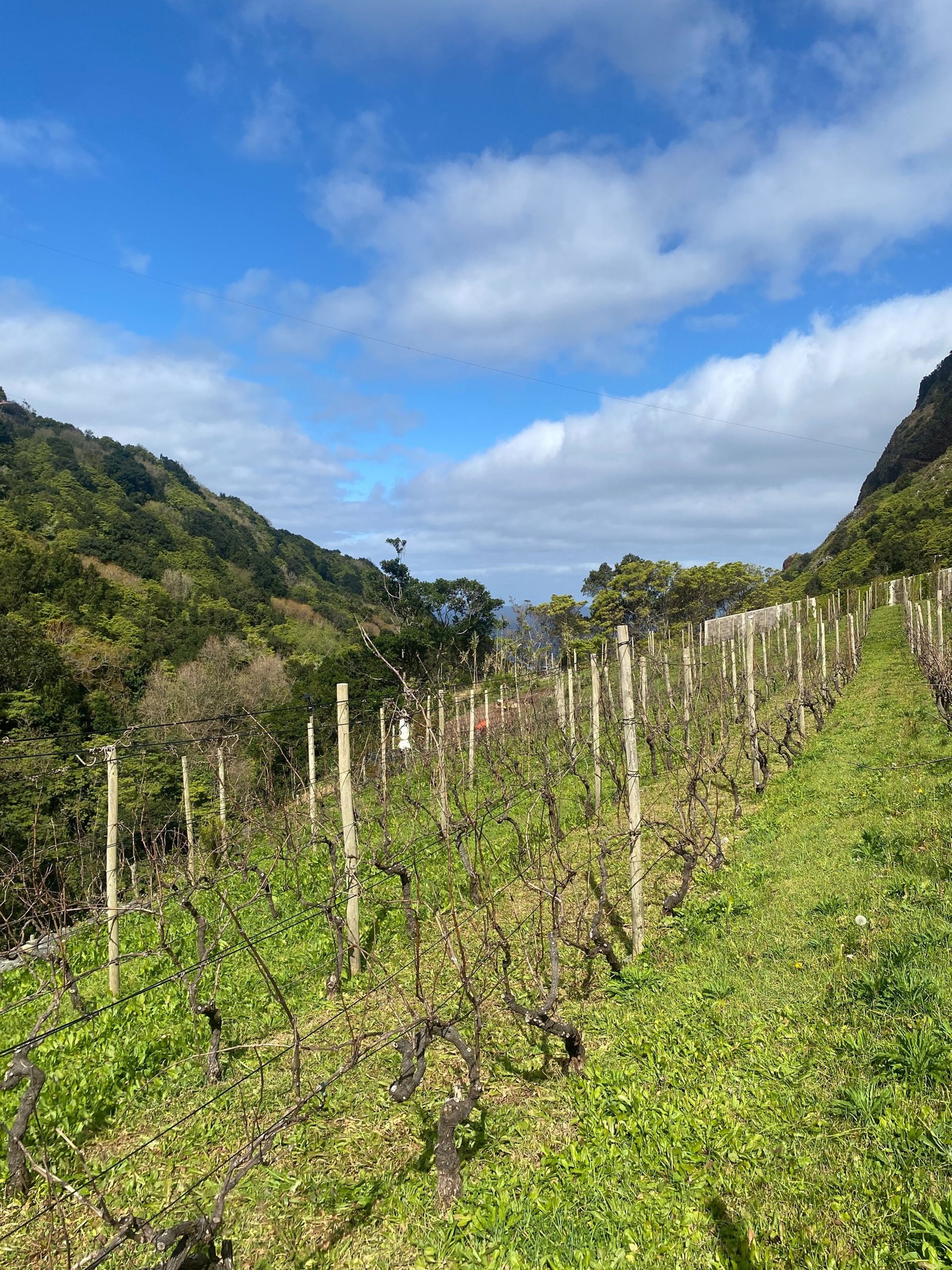 black blue and yellow textile