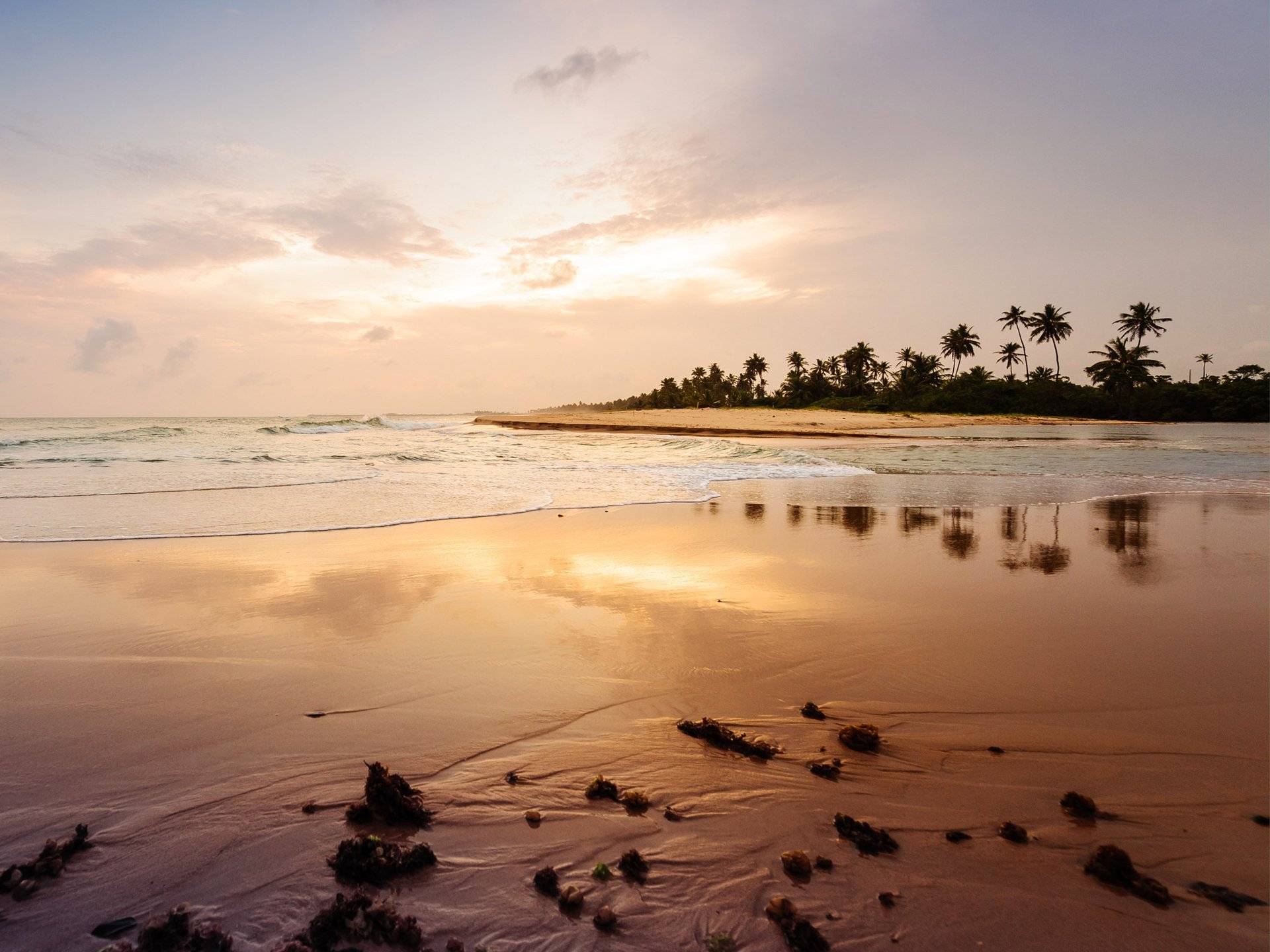 black and brown leather padded tub sofa