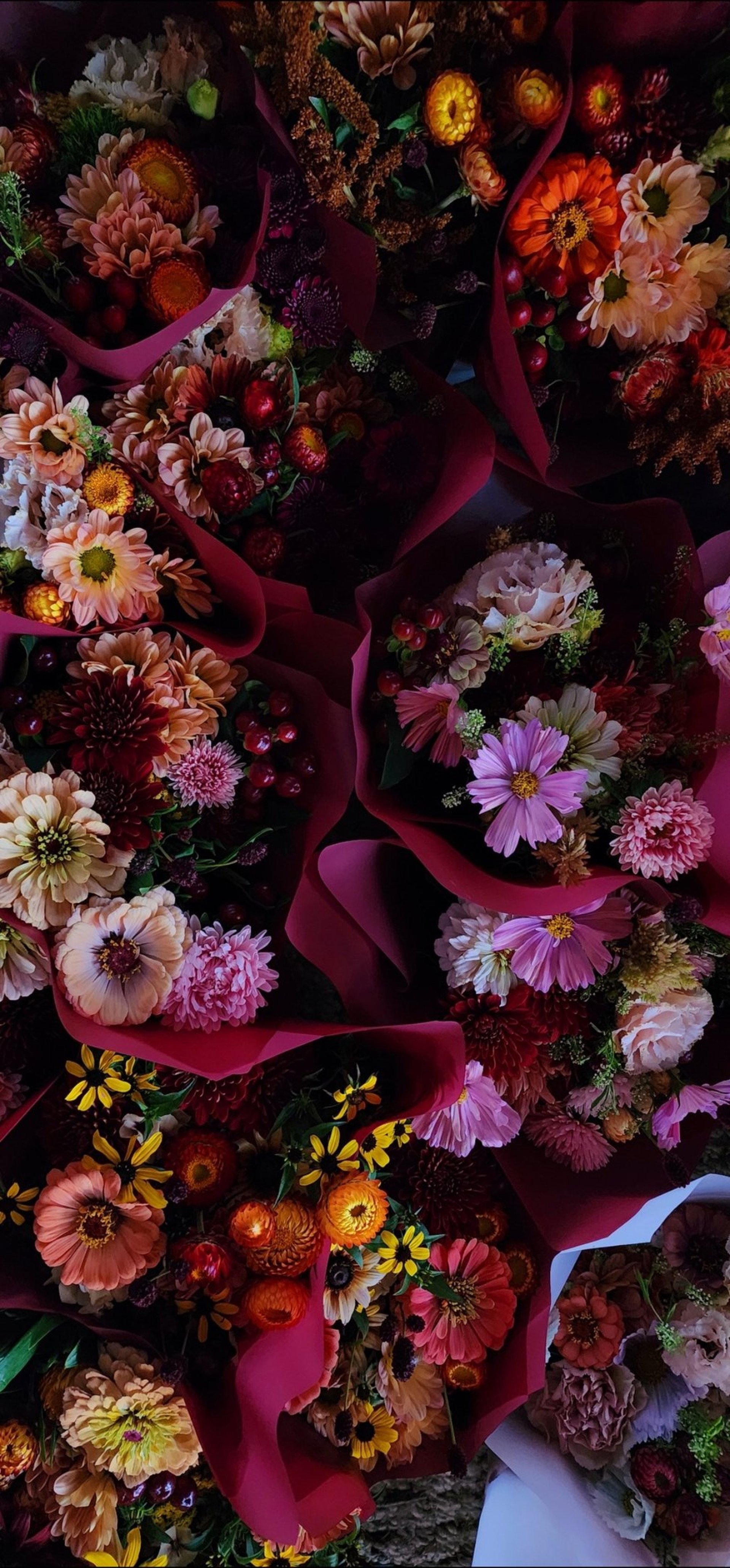 an abstract photo of a curved building with a blue sky in the background