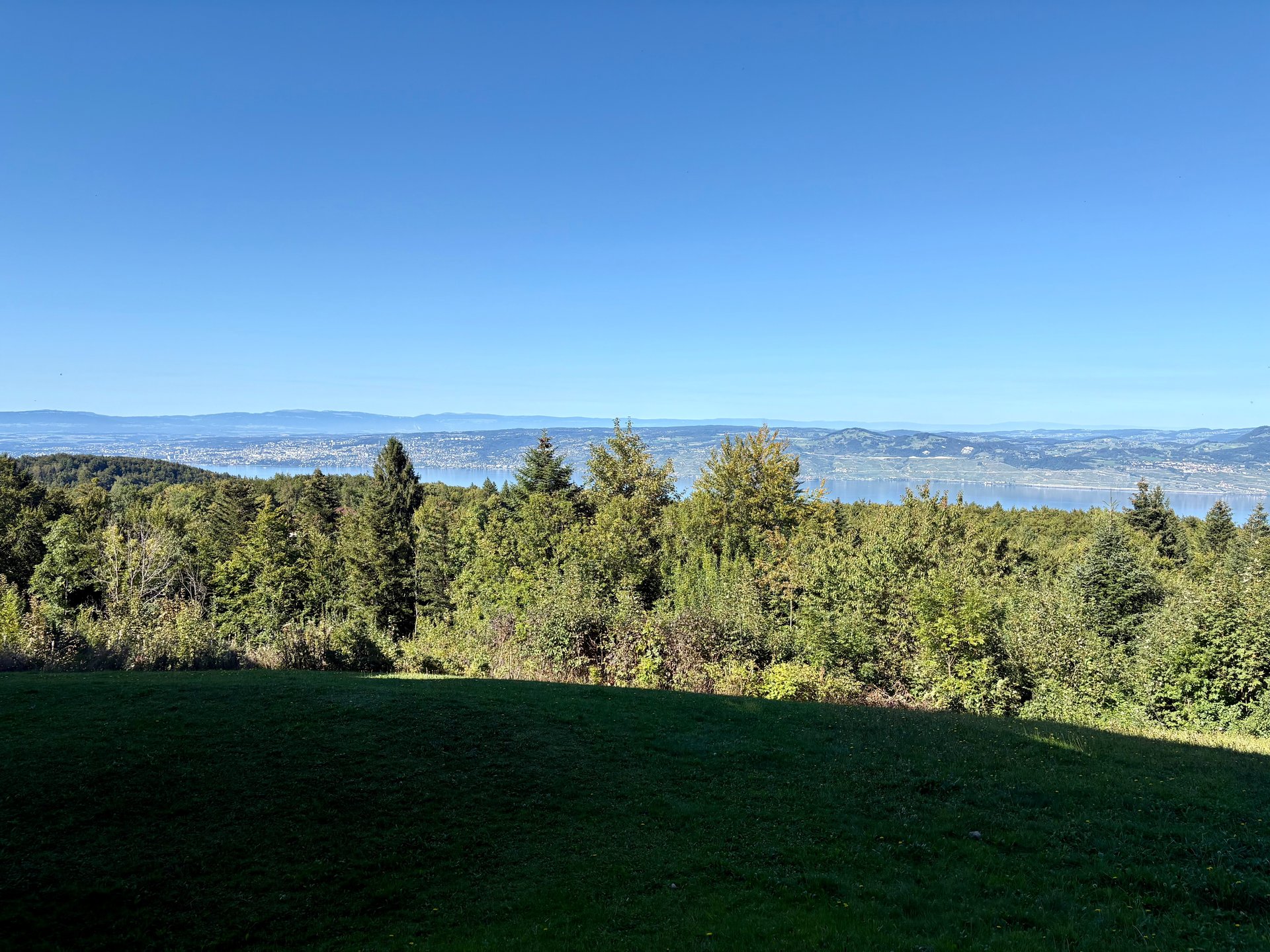 brown wooden house with green grass field