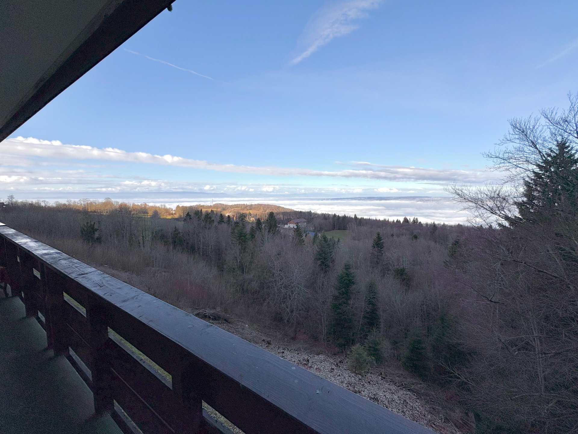 brown wooden house with green grass field