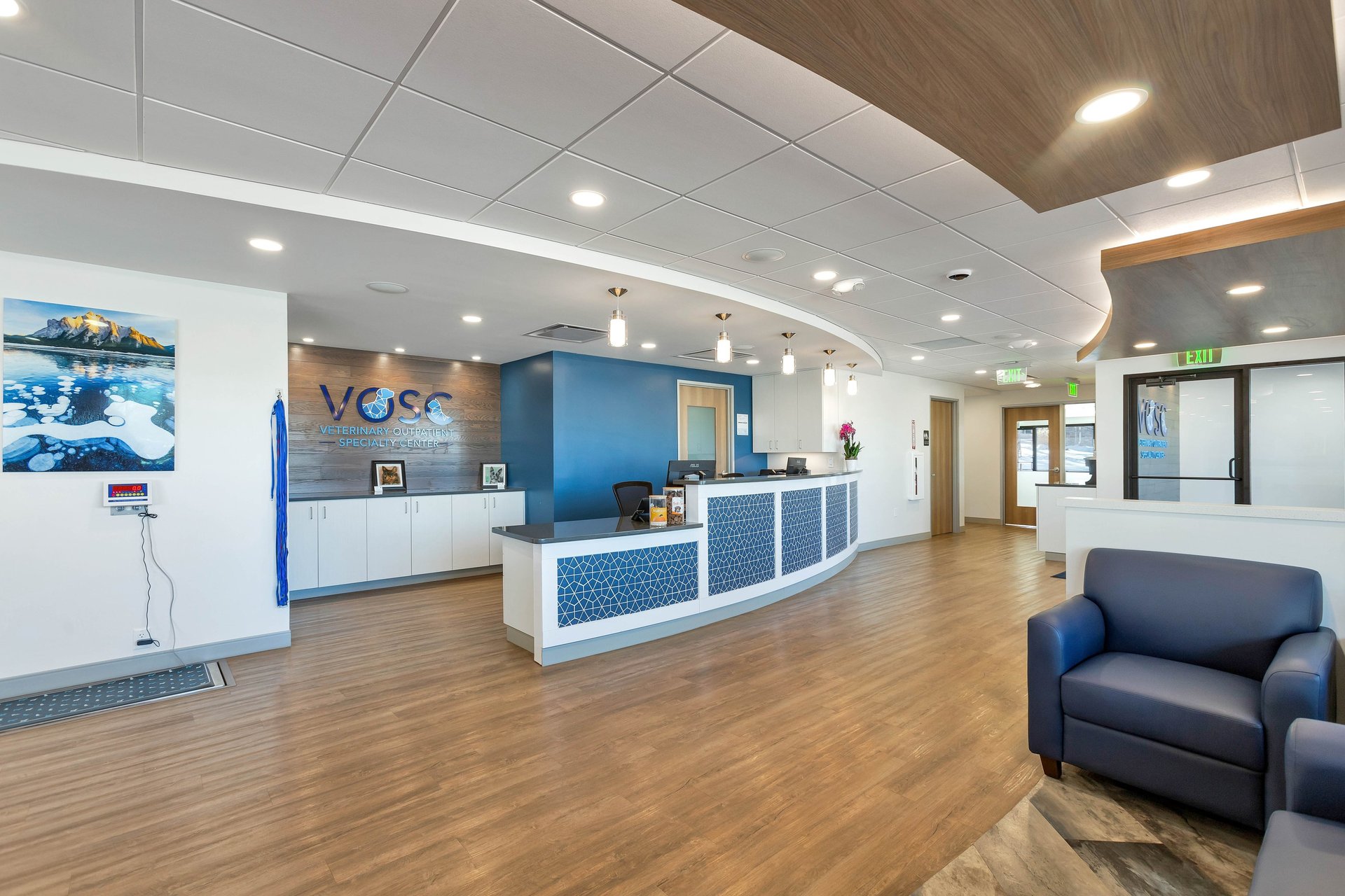 Three dogs pose on a table at sunset.