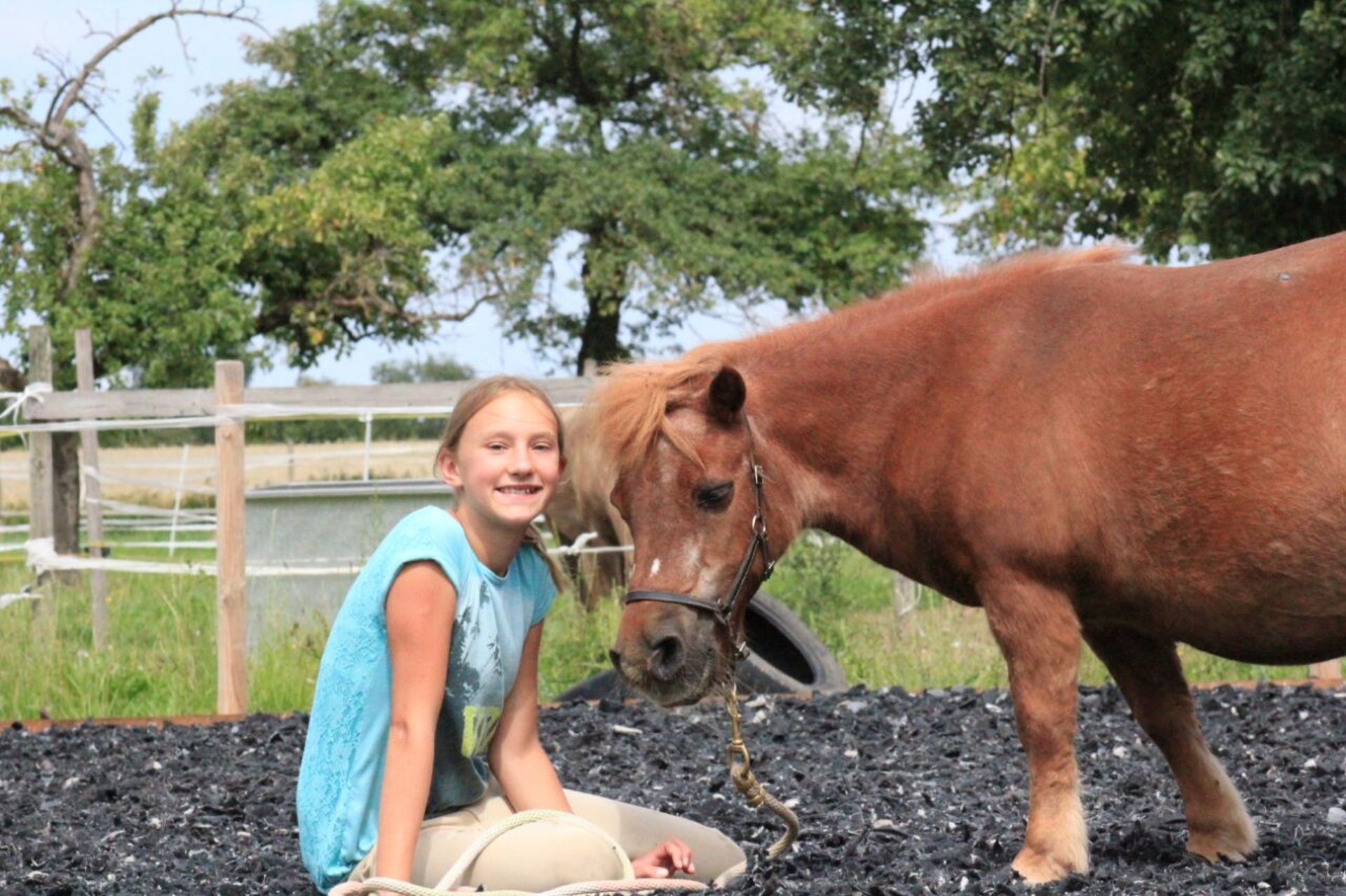 an abstract photo of a curved building with a blue sky in the background