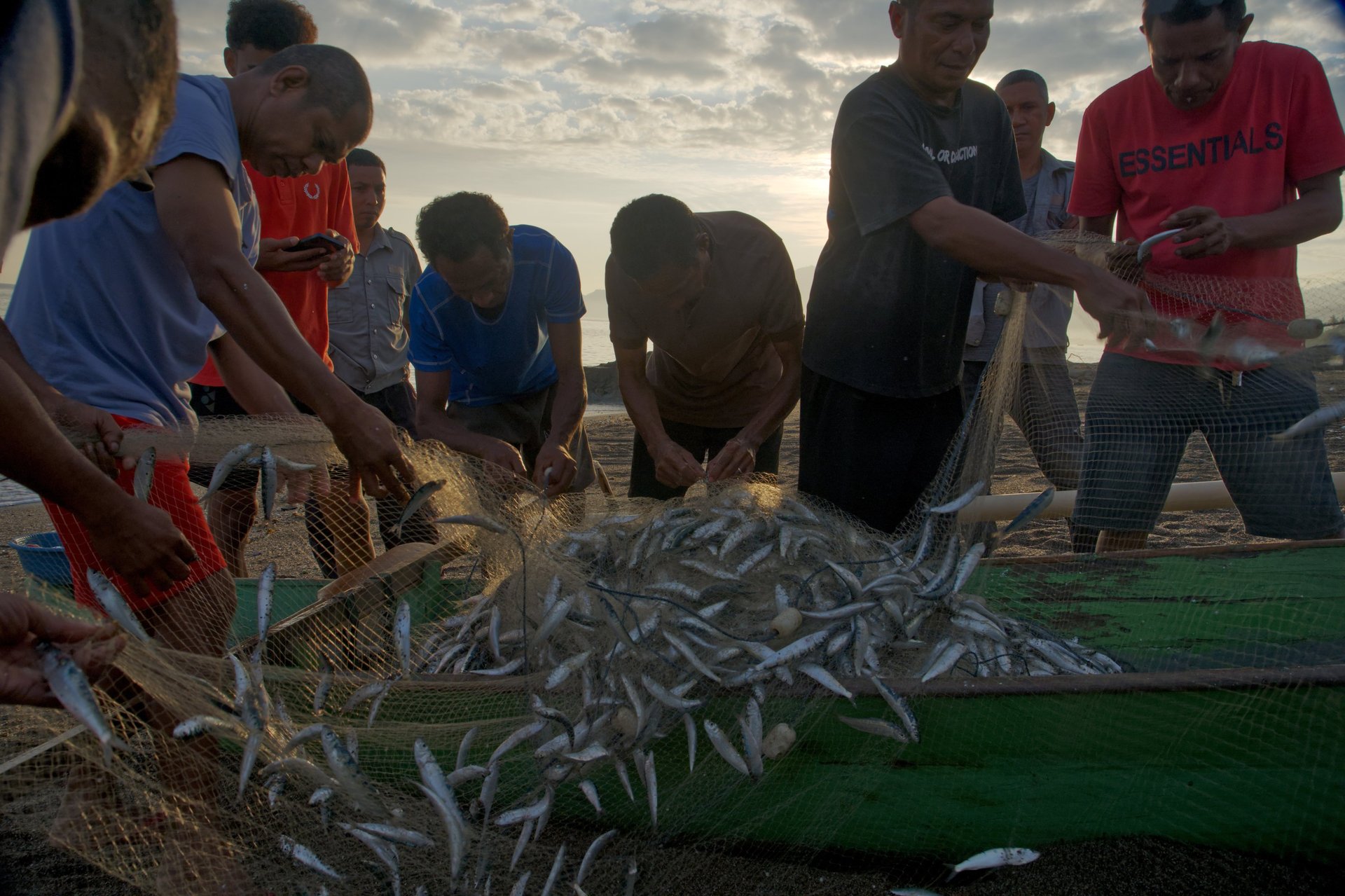 black blue and yellow textile
