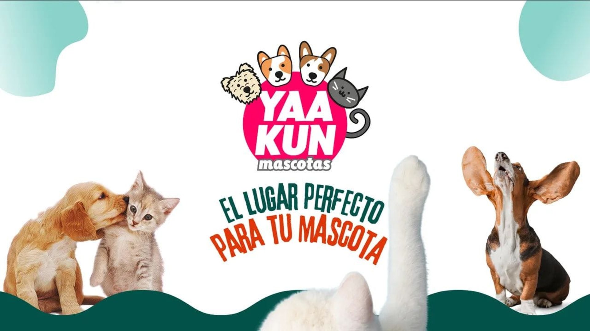 woman holding dried flower