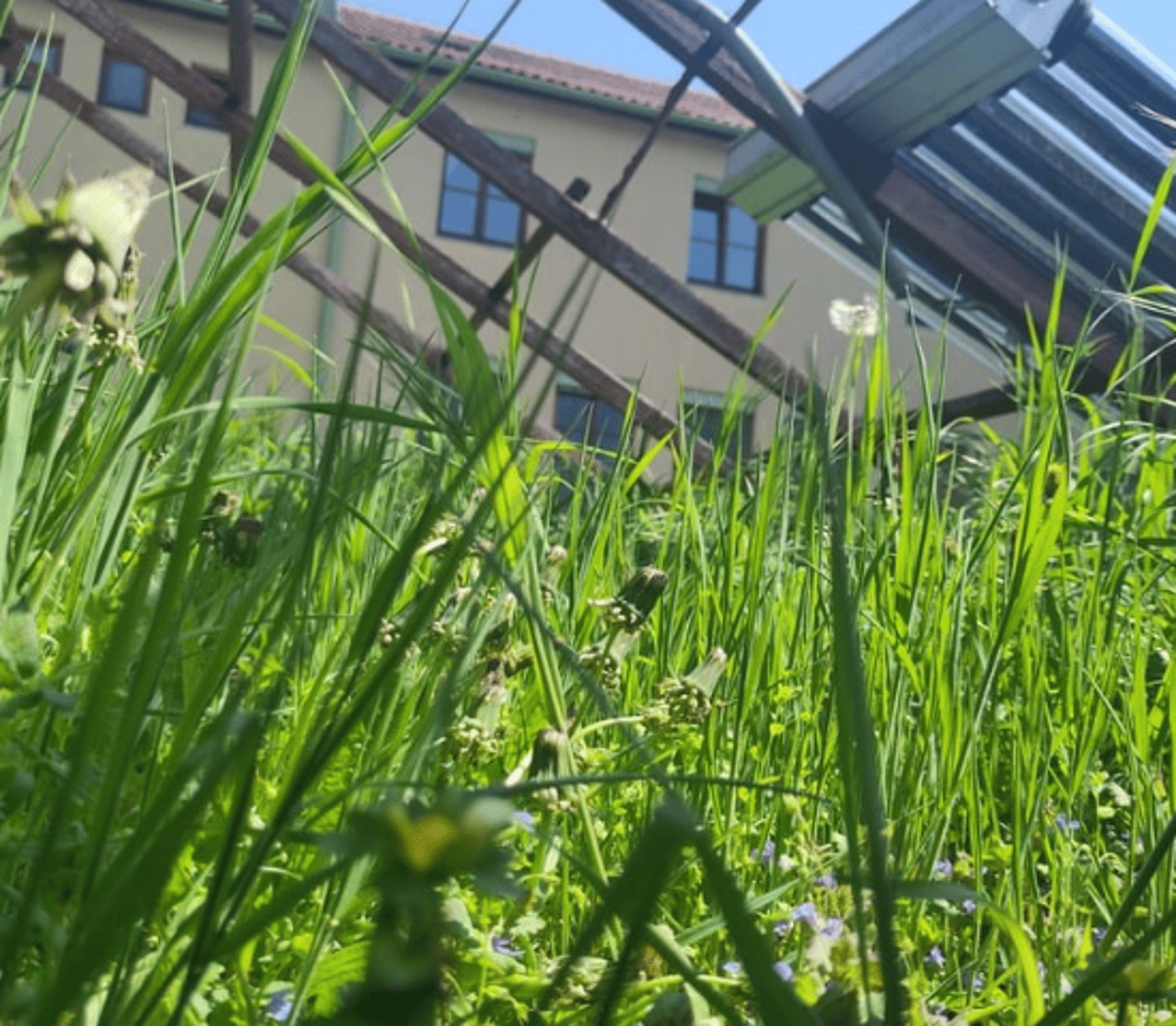 gray computer monitor