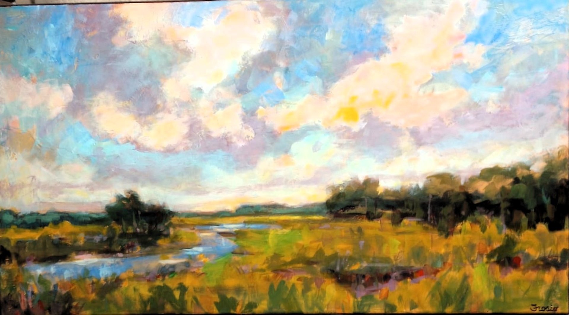 green grass field near body of water under blue sky during daytime