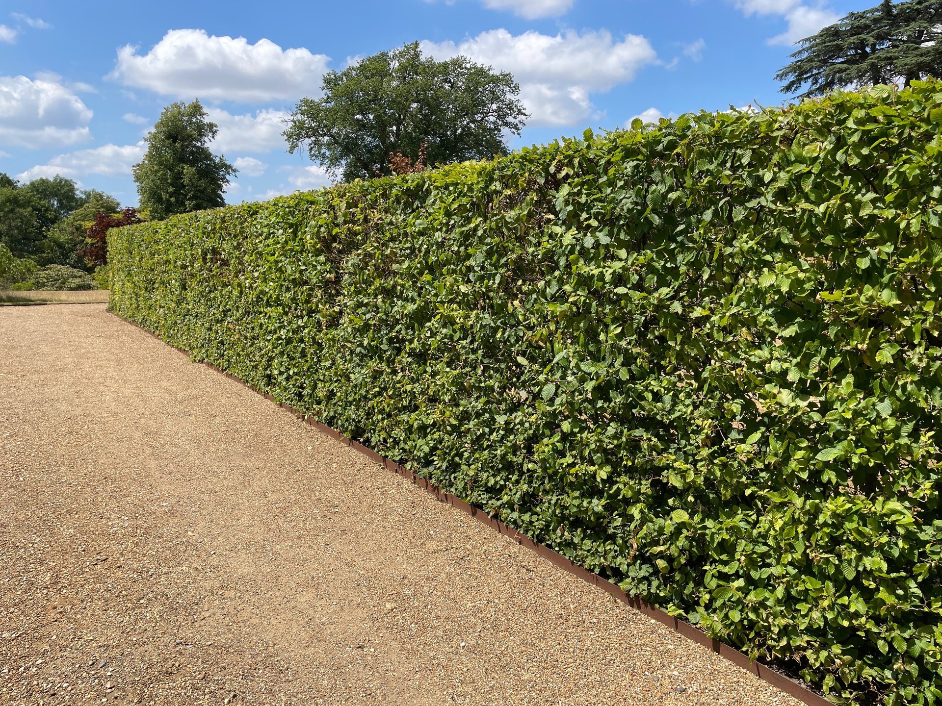 man in red and black shirt climbing on brown tree during daytime