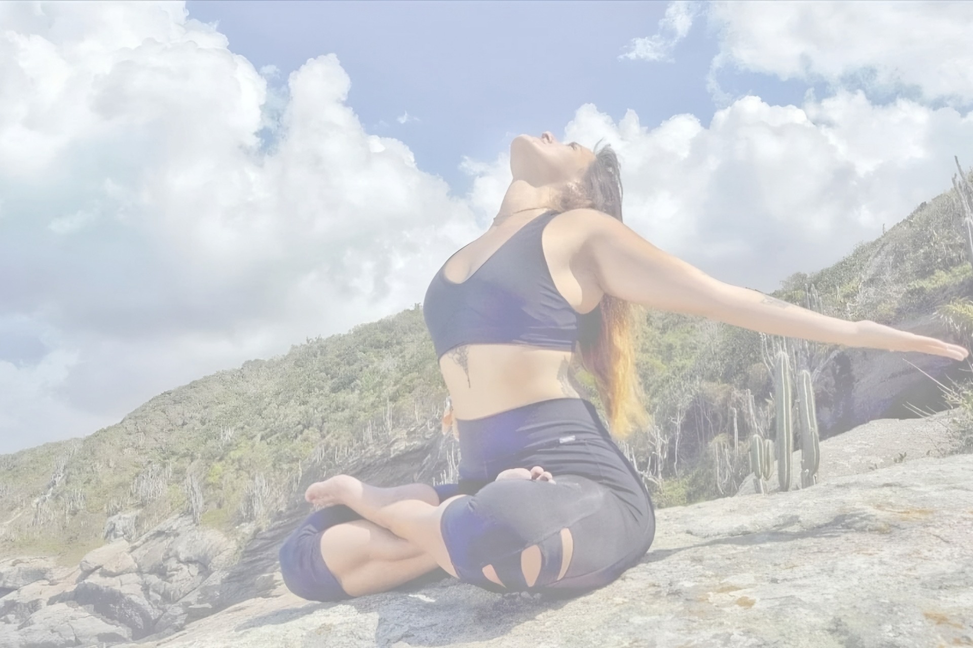 black and brown leather padded tub sofa