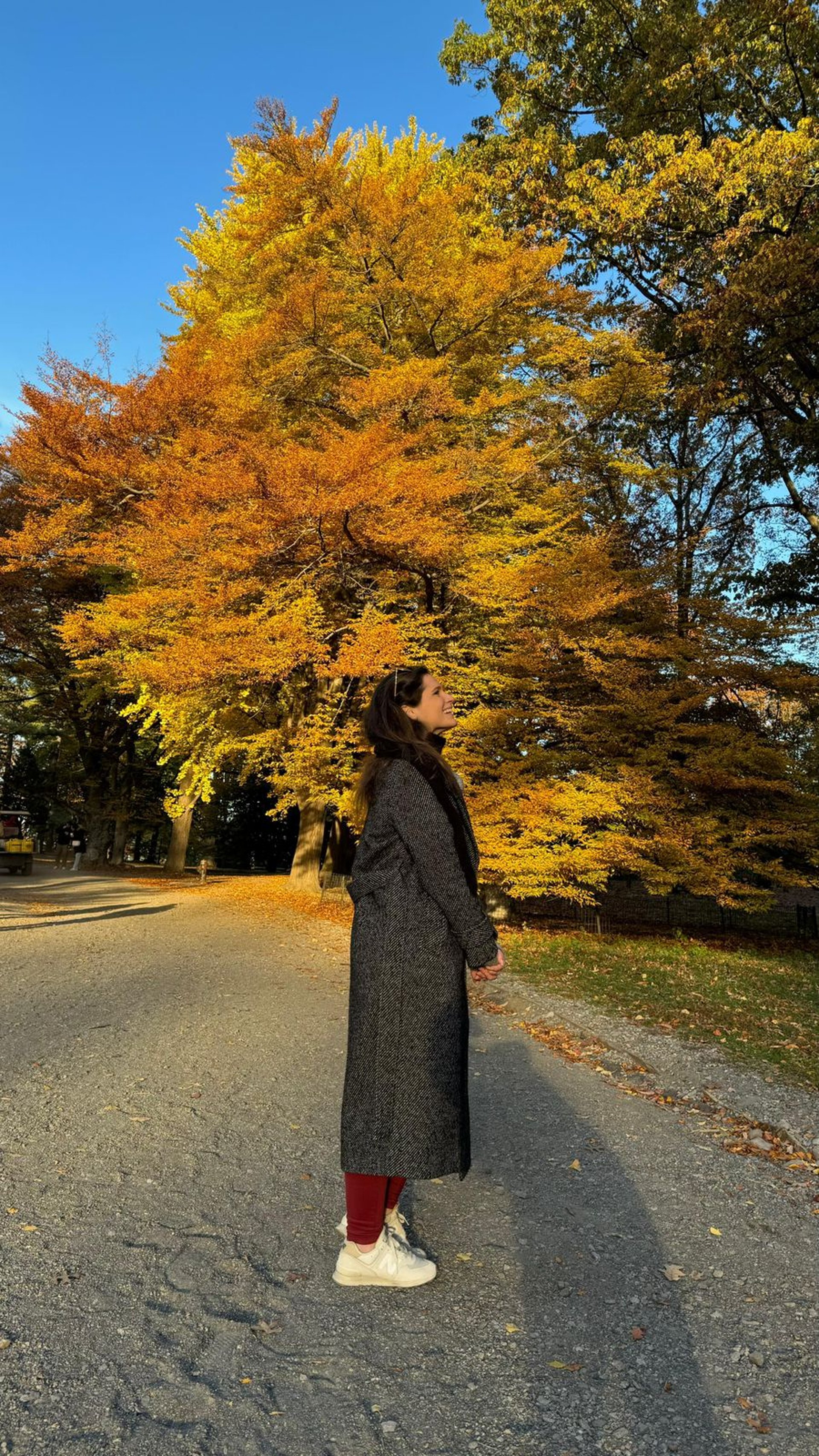 an abstract photo of a curved building with a blue sky in the background