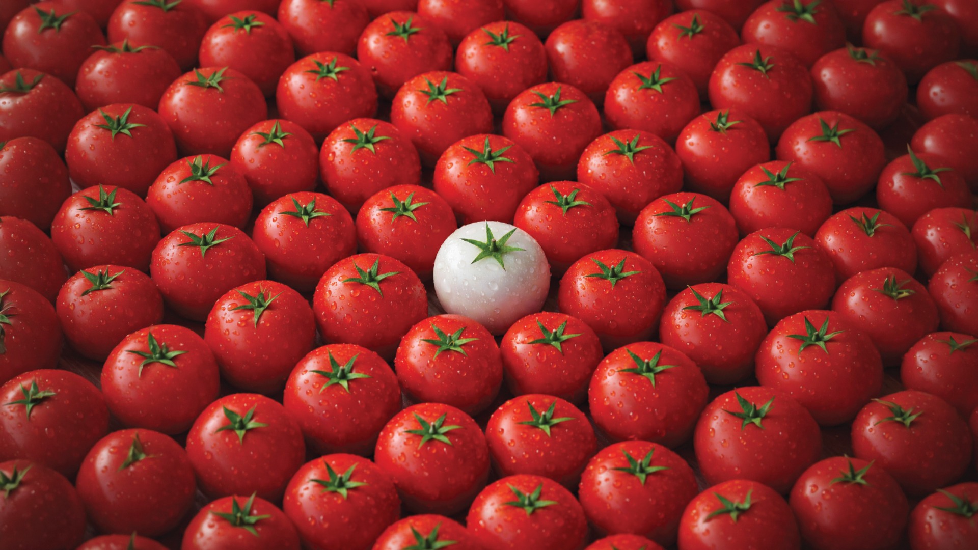A green vine curls upwards against a dark background.
