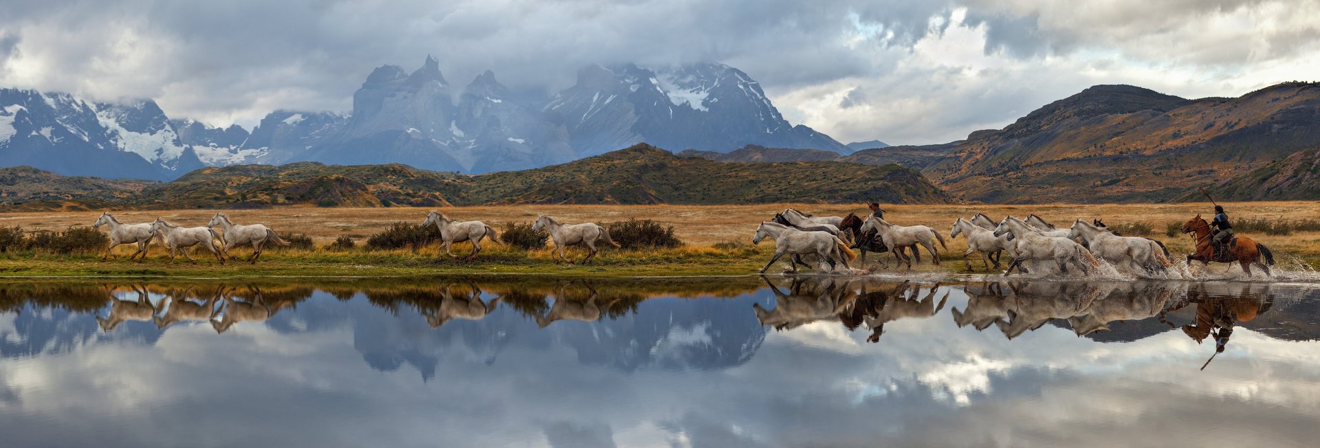Gauchos-and-herd-of-horses-with-mountains-in-background