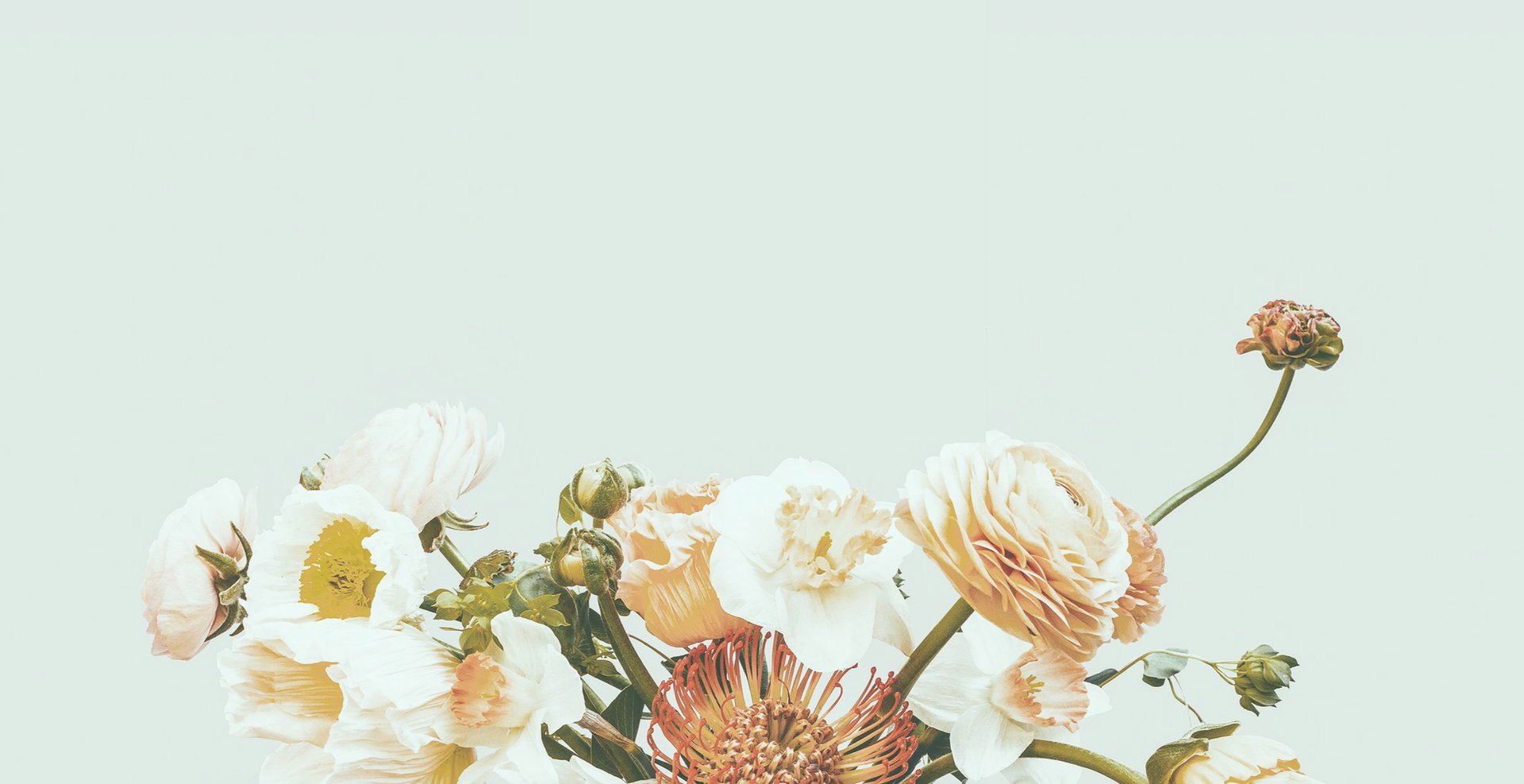 couple wearing silver-colored rings