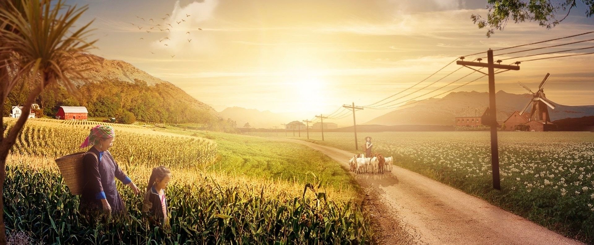 woman in red and white long sleeve shirt holding green basket with pink flowers