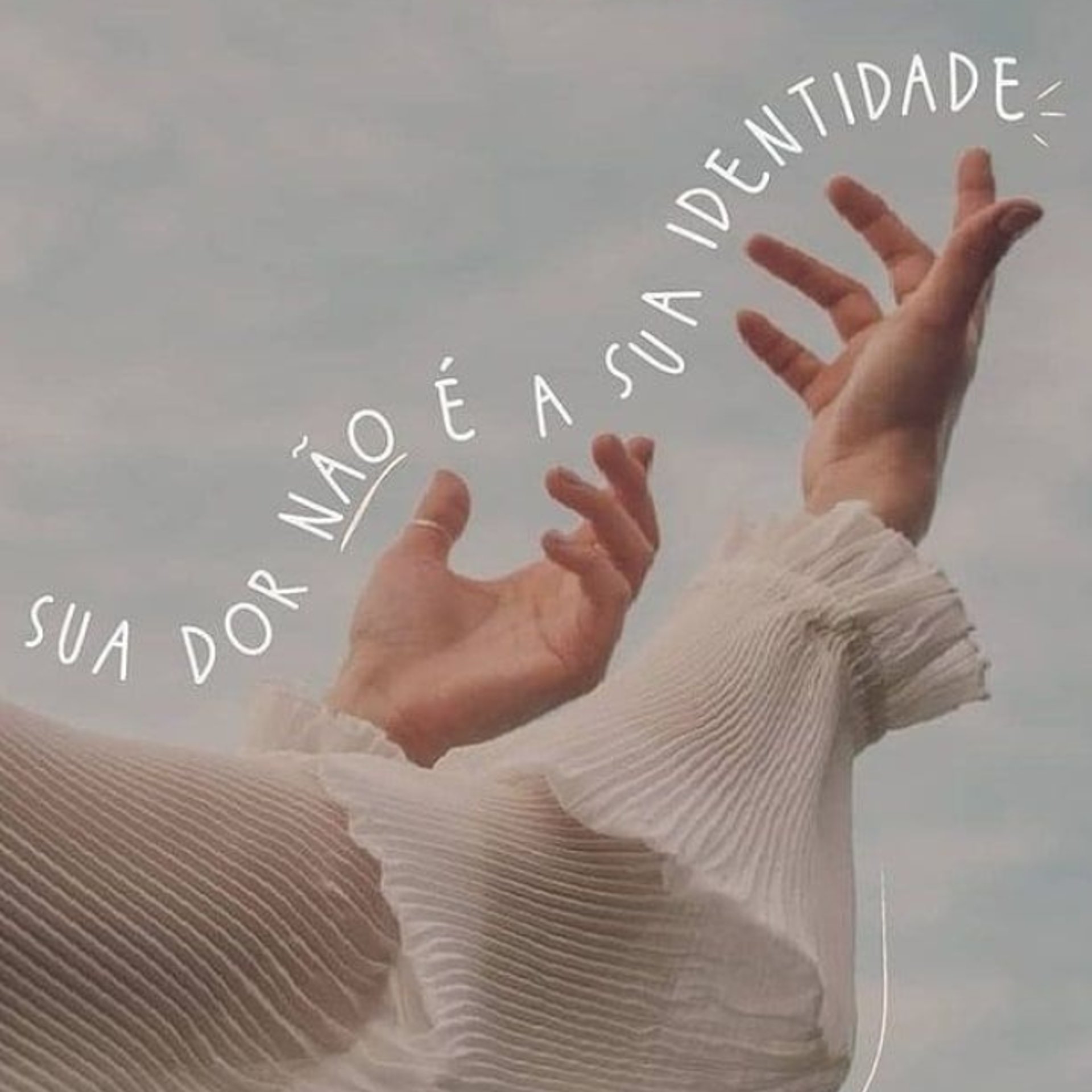 red rose with green leaves