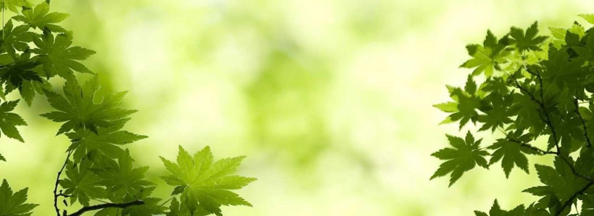 HIV AYURVEDA CURE MEDICINE, SHV HERBAL CURE MEDICINE,HBV 100% HERBAL MEDICINE, ASO Titer Mdicine