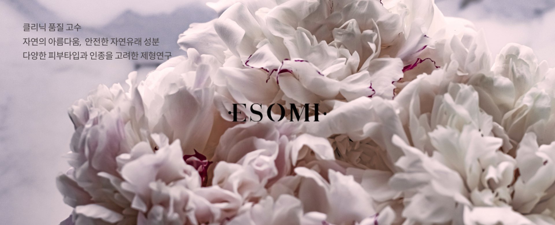 view of tree during daytime