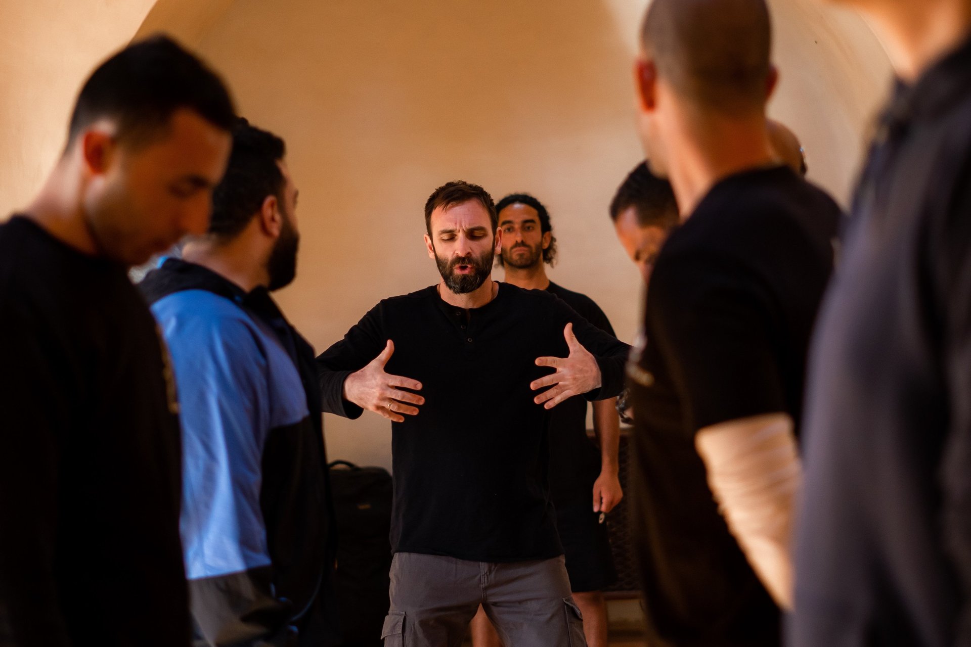 green-leafed tree at daytime