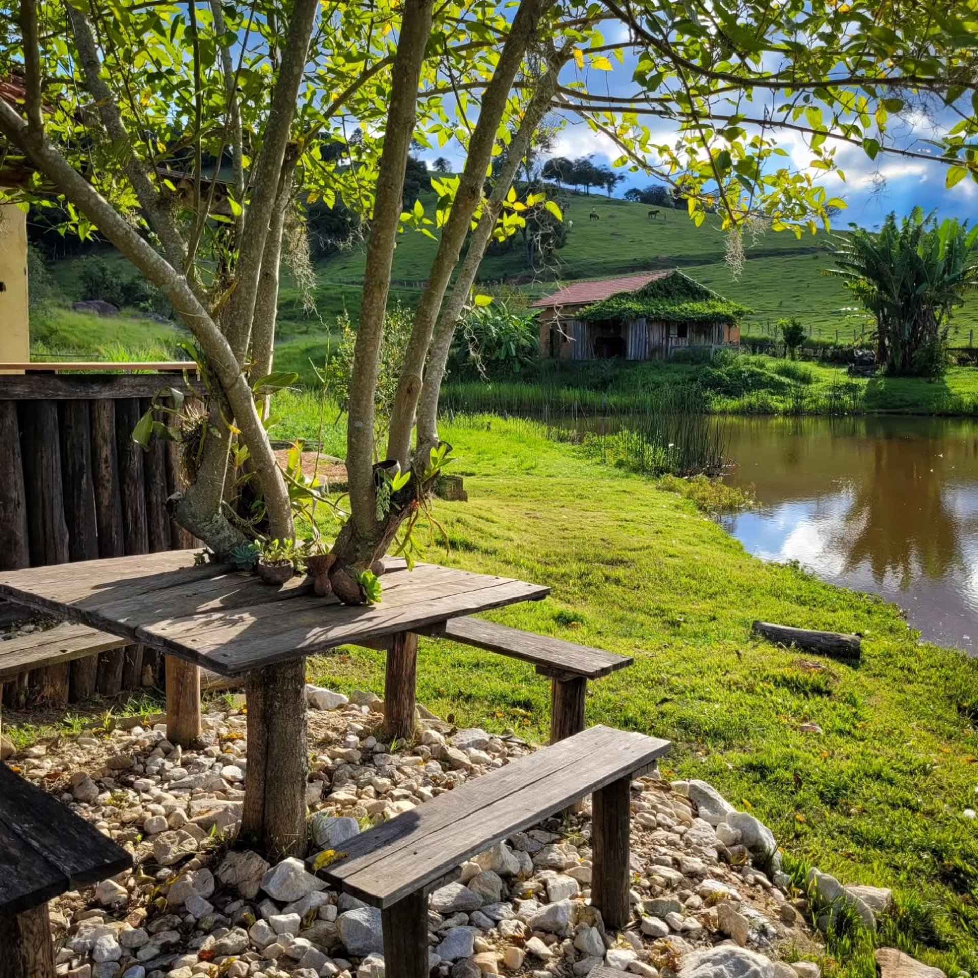 black blue and yellow textile