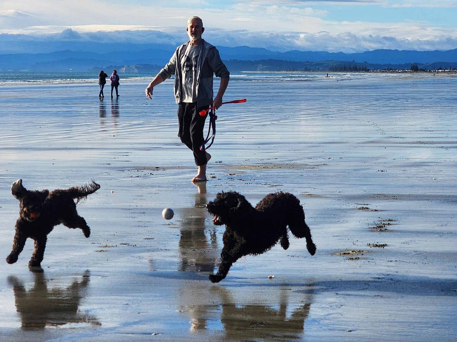 black and white bed linen