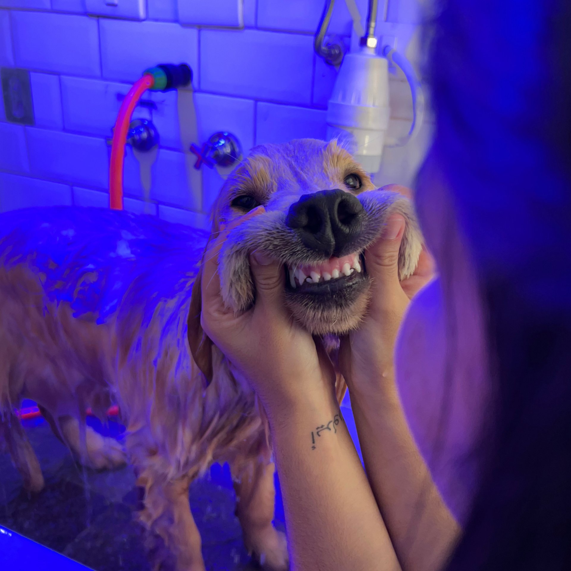 an abstract photo of a curved building with a blue sky in the background