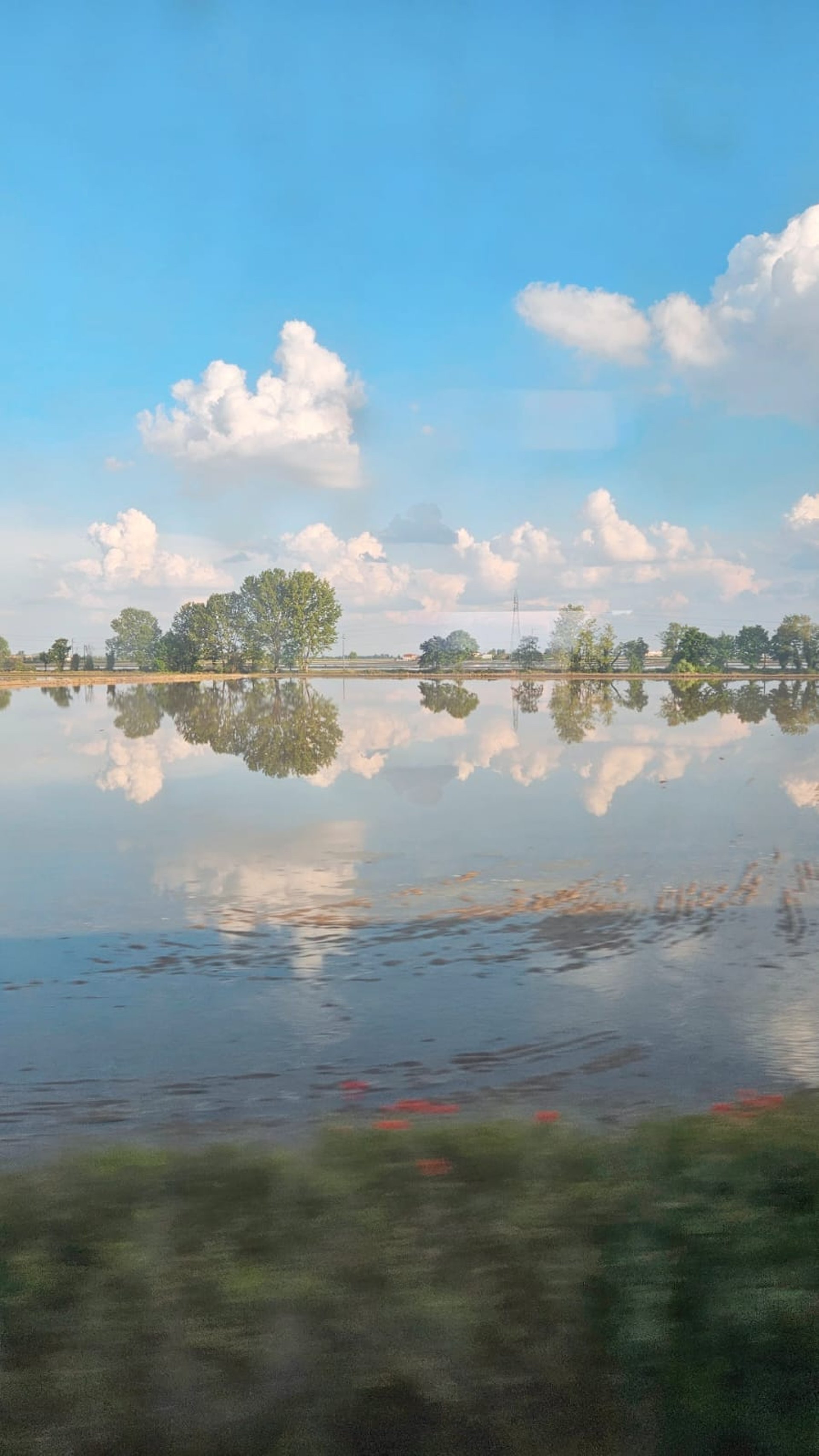 woman wearing yellow long-sleeved dress under white clouds and blue sky during daytime